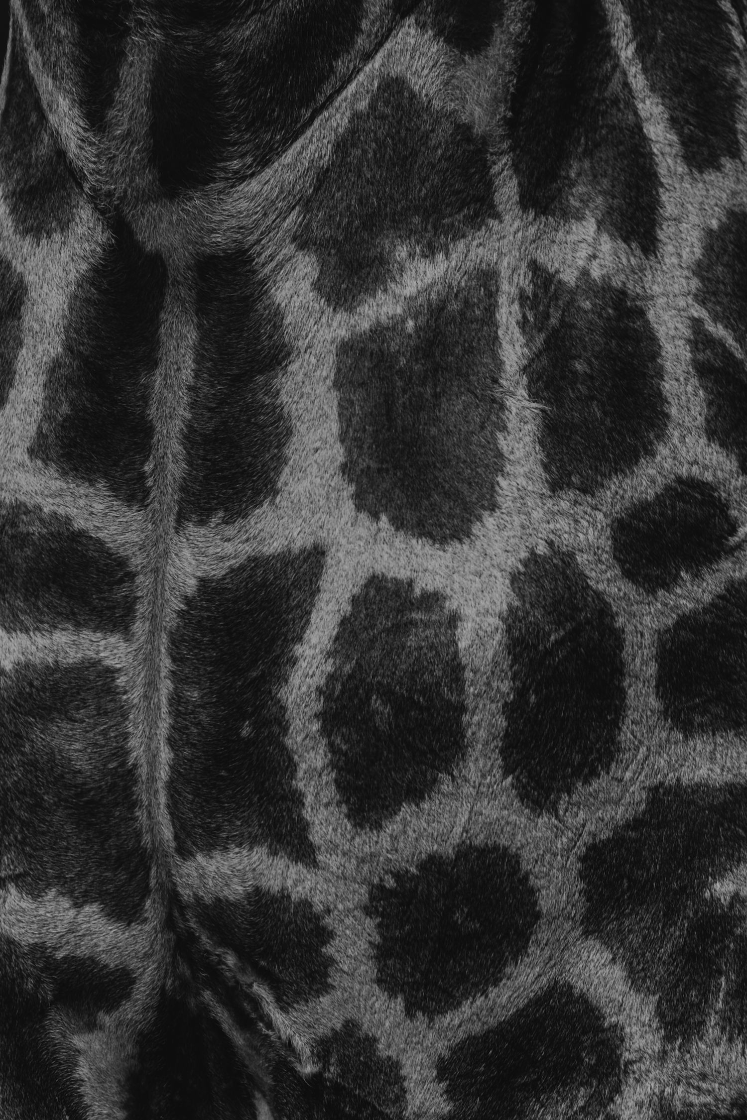Luzaan Wildlife Photography