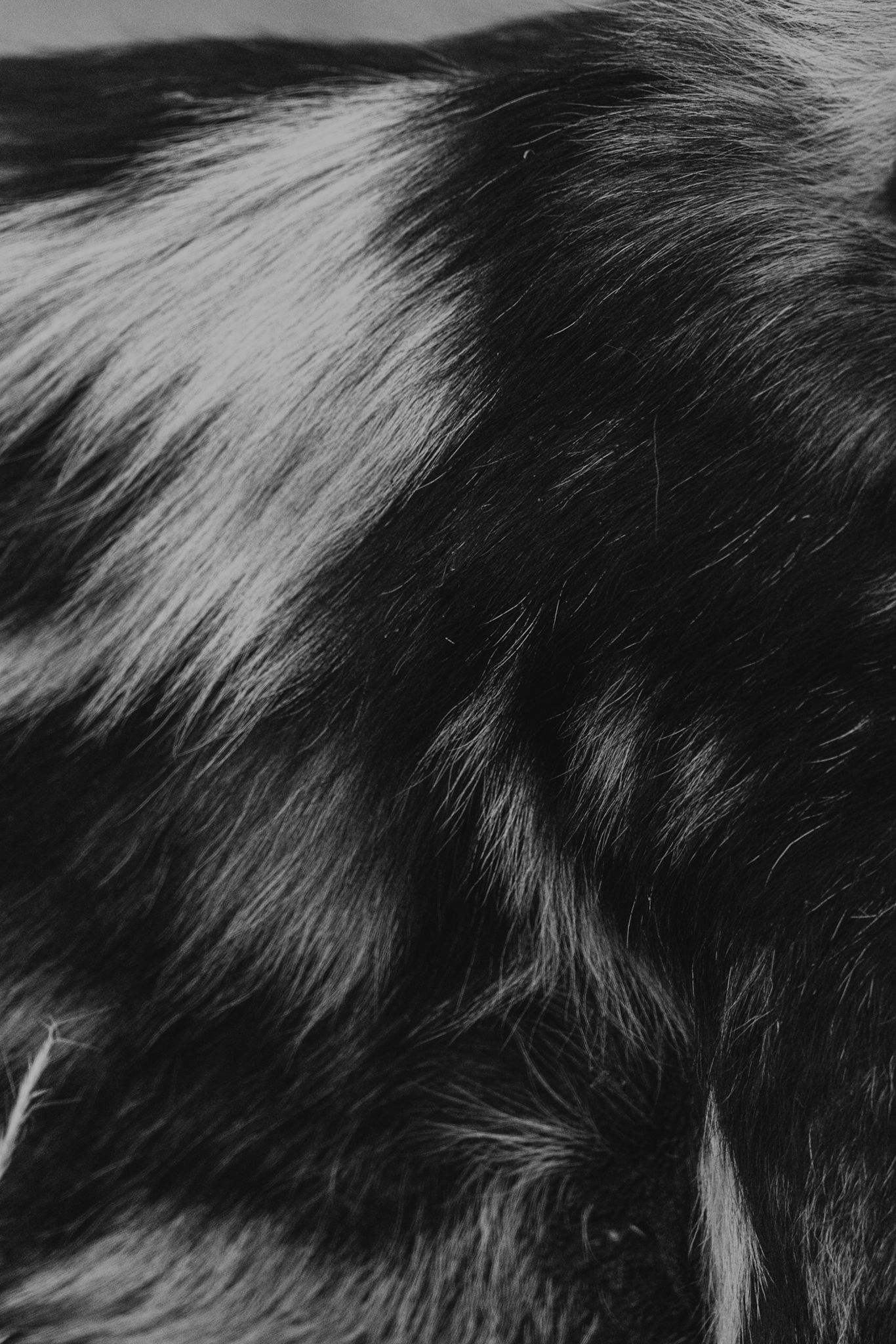 Luzaan Wildlife Photography
