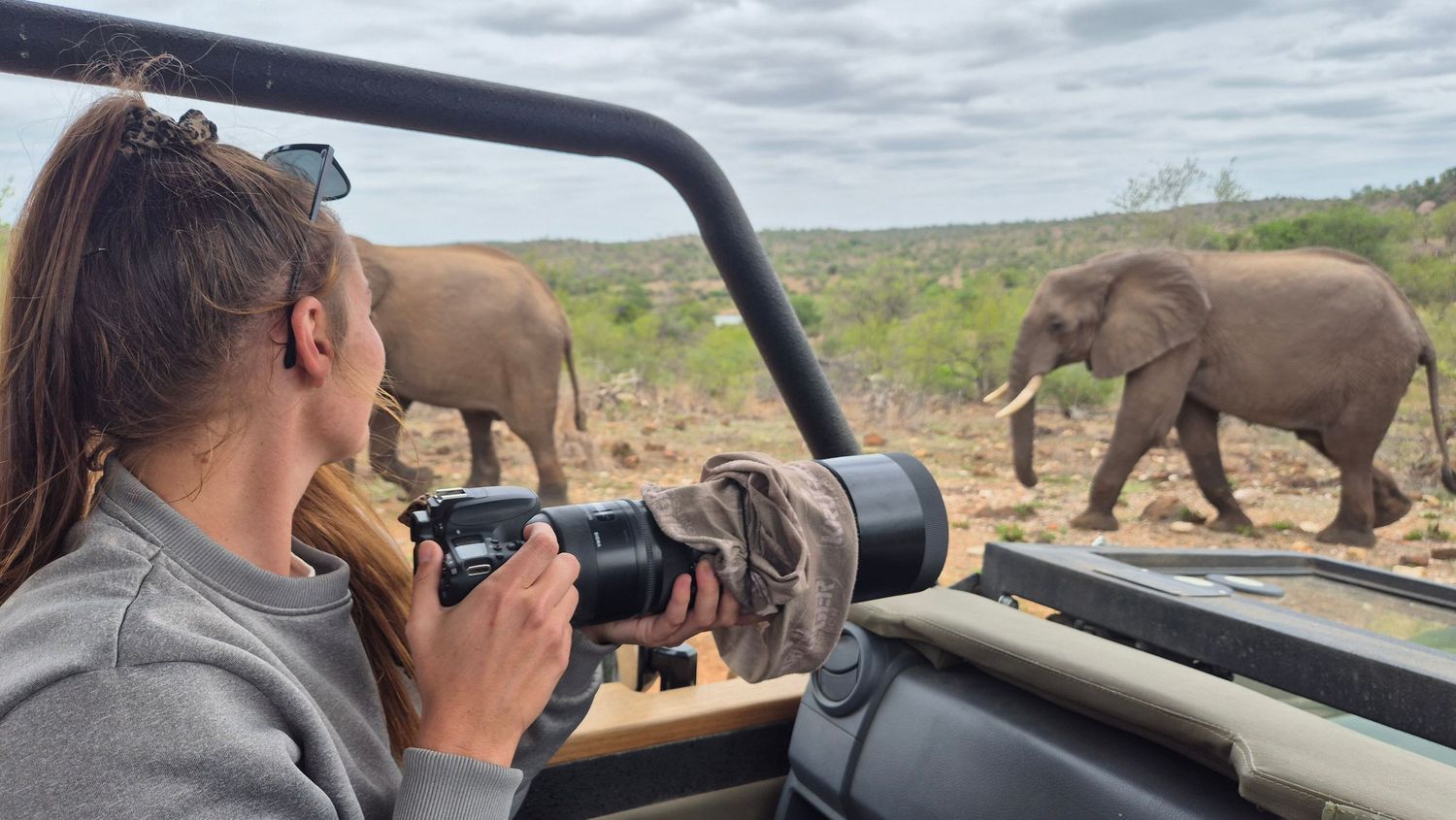 Luzaan Wildlife Photography