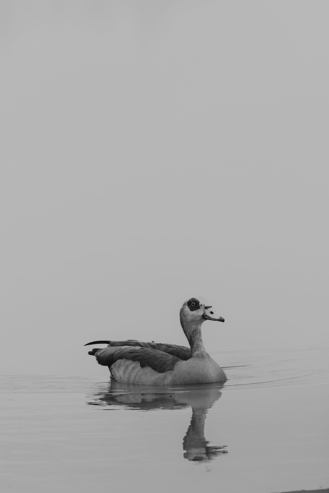 Luzaan Wildlife Photography