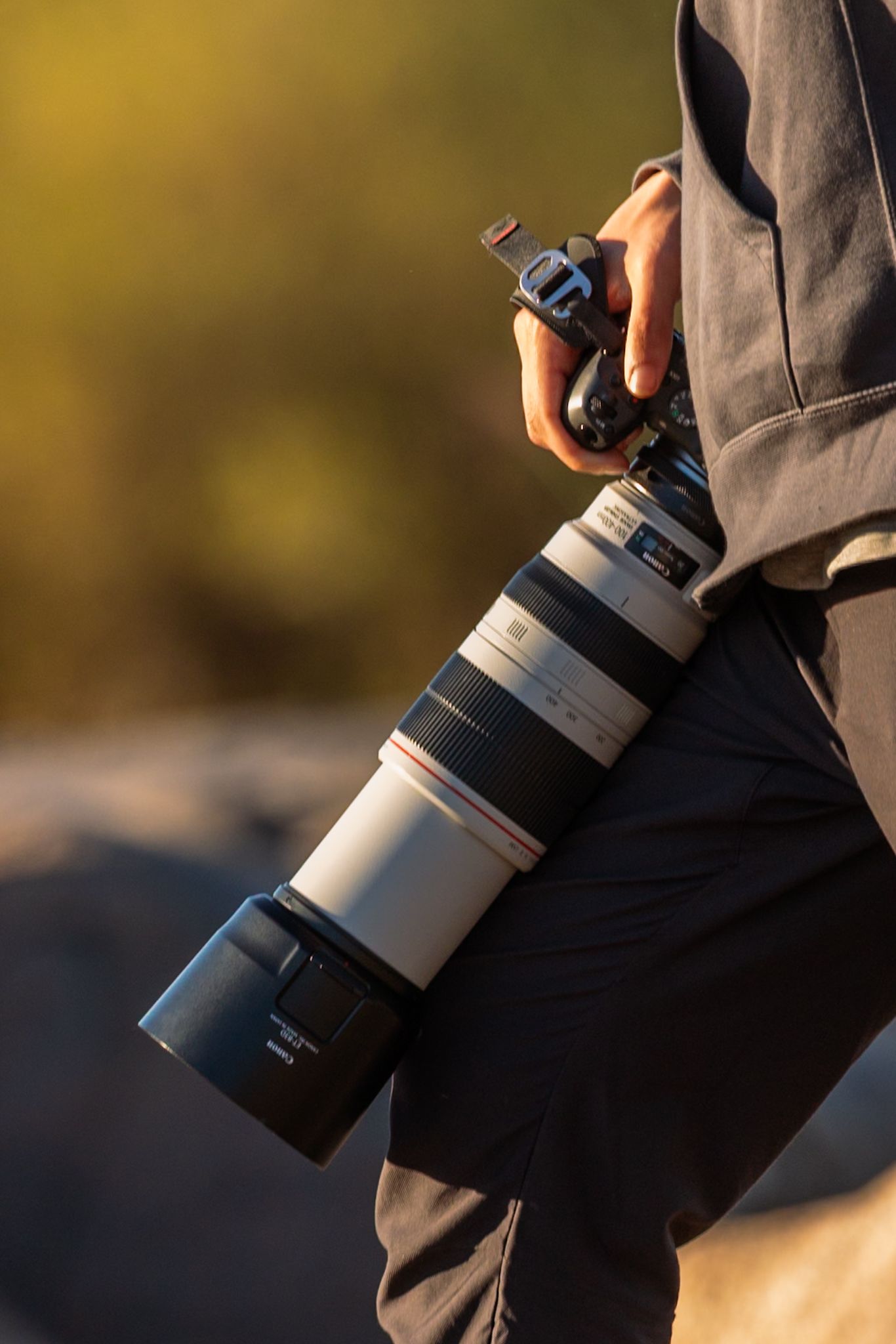 Luzaan Wildlife Photography