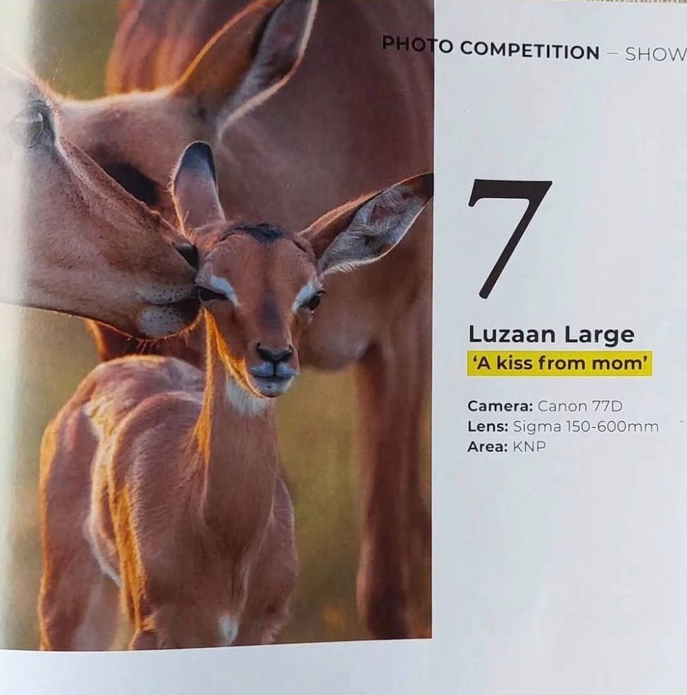 Luzaan Wildlife Photography