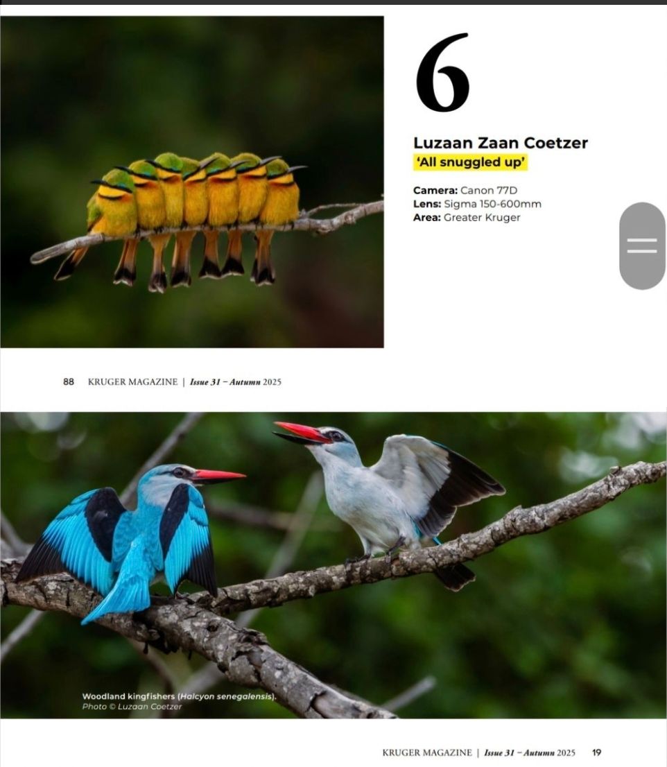 Luzaan Wildlife Photography