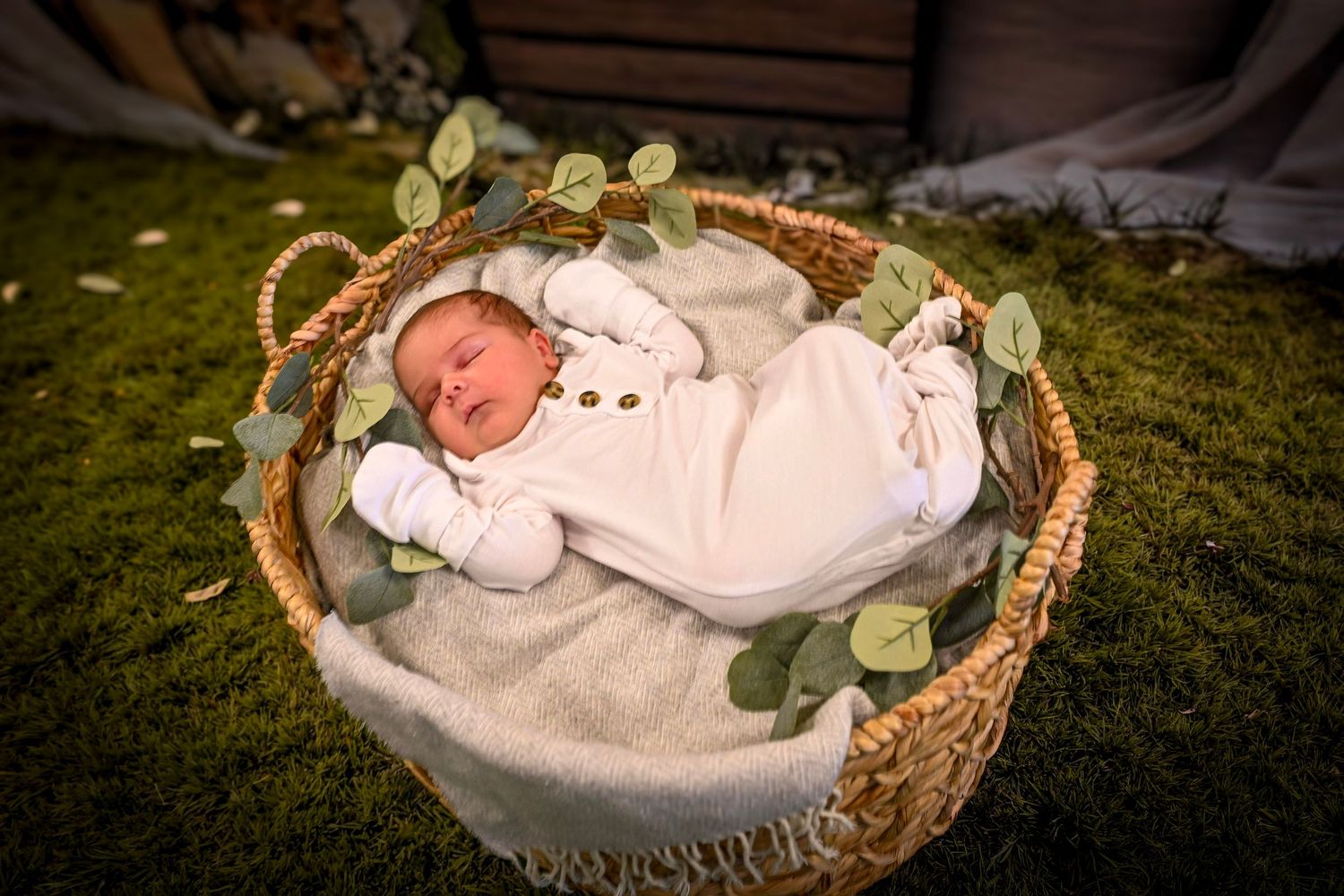 Newborn baby sleeping peacefully in a wicker basket lined with a soft blanket, surrounded by eucalyptus leaves on green grass.