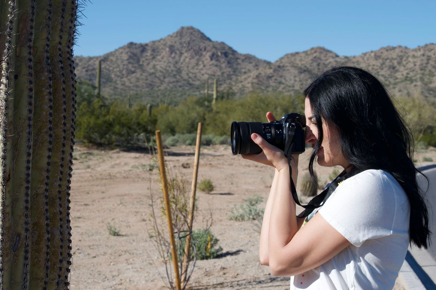 Desert photography session with saguaro cactus and mountain range in background.
