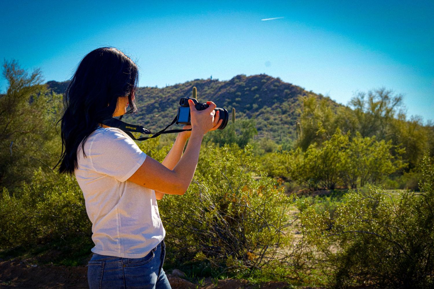 Desert scene with photographer capturing natural beauty of saguaro cacti and mountains.