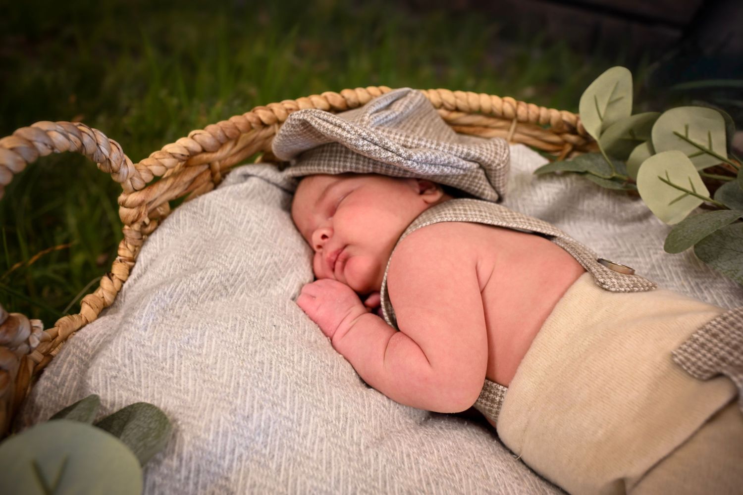 Sleeping newborn baby in a wicker basket outdoors with eucalyptus leaves and a cozy blanket.