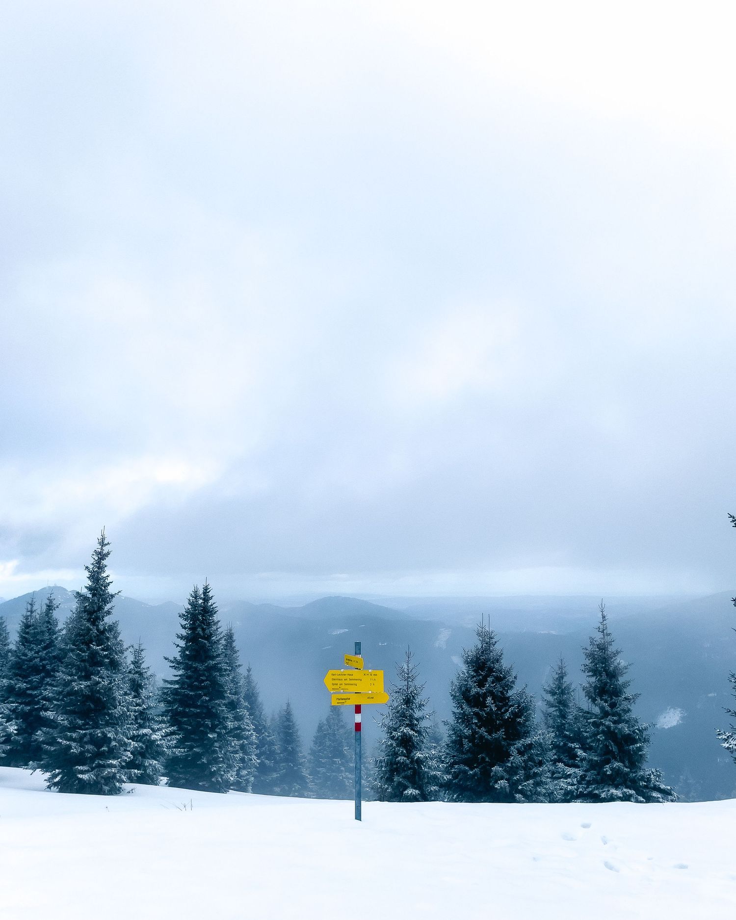 Snow-covered evergreen trees against cloudy mountain backdrop with yellow trail marker.