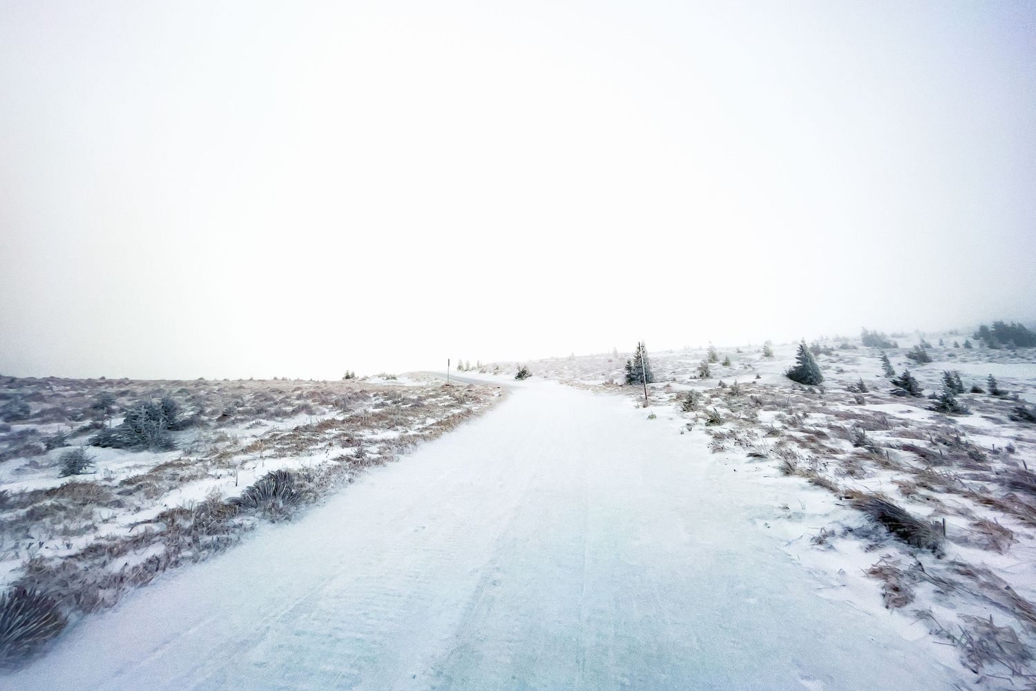 Vast snowy winter landscape with white plains stretching to the horizon.
