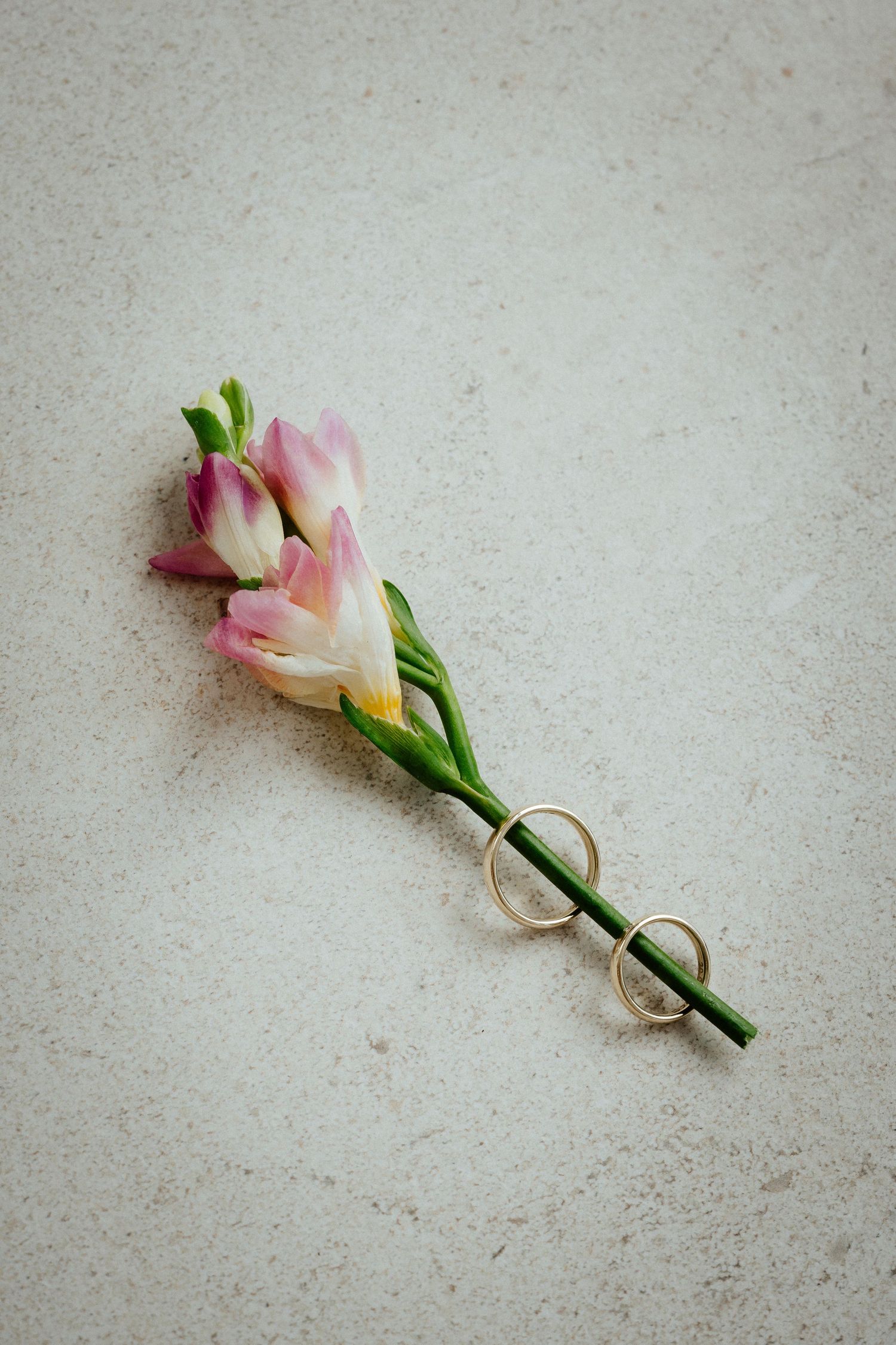 Two gold wedding rings wrapped around a small bouquet of pink tulips on a light stone surface.