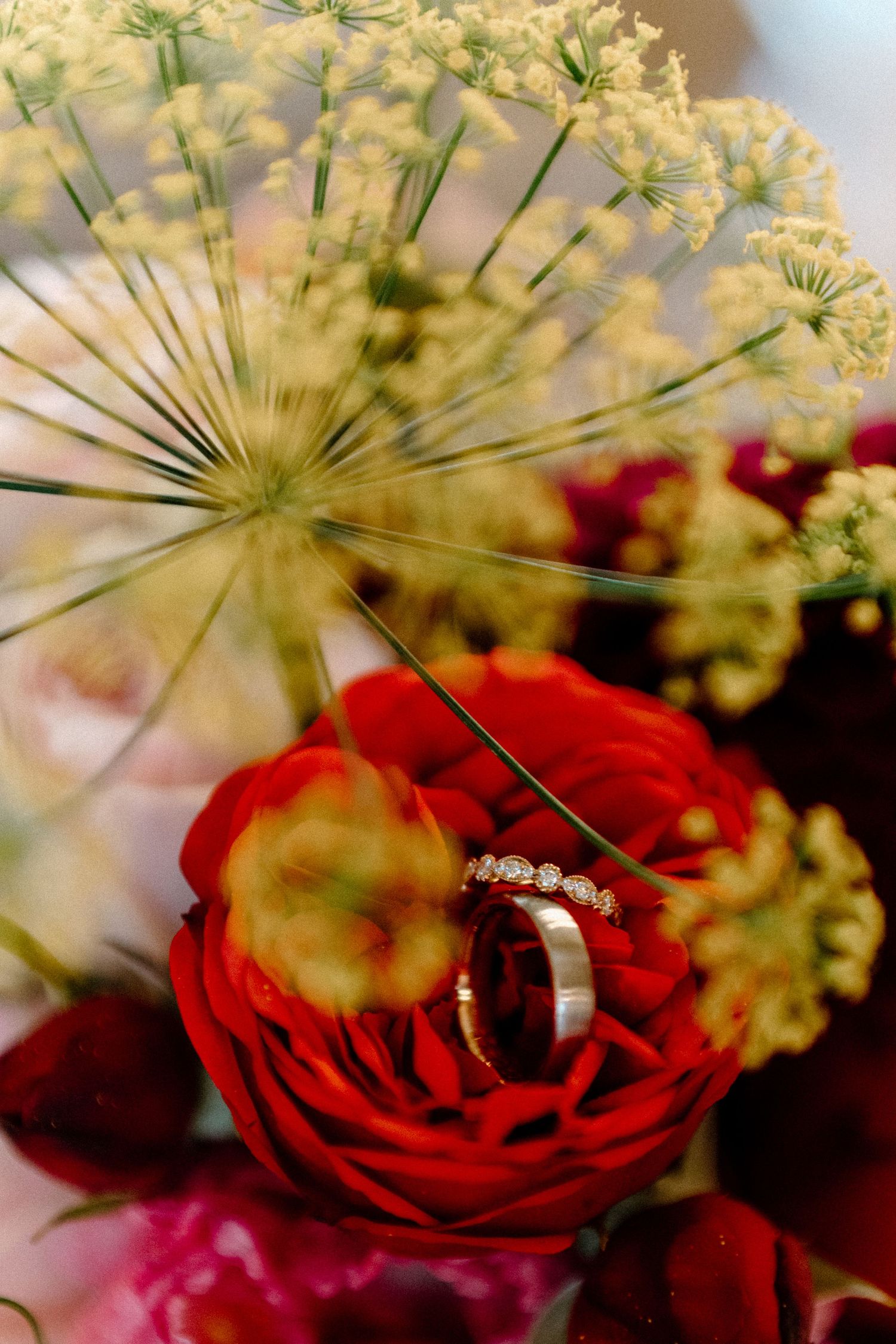 Wedding rings nestled in a red rose with delicate white flowers in soft focus.