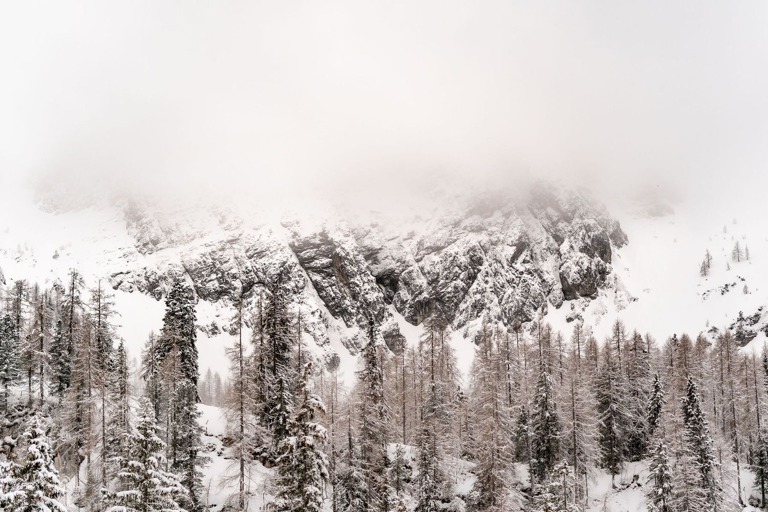 Snow-covered mountain forest landscape in winter conditions.