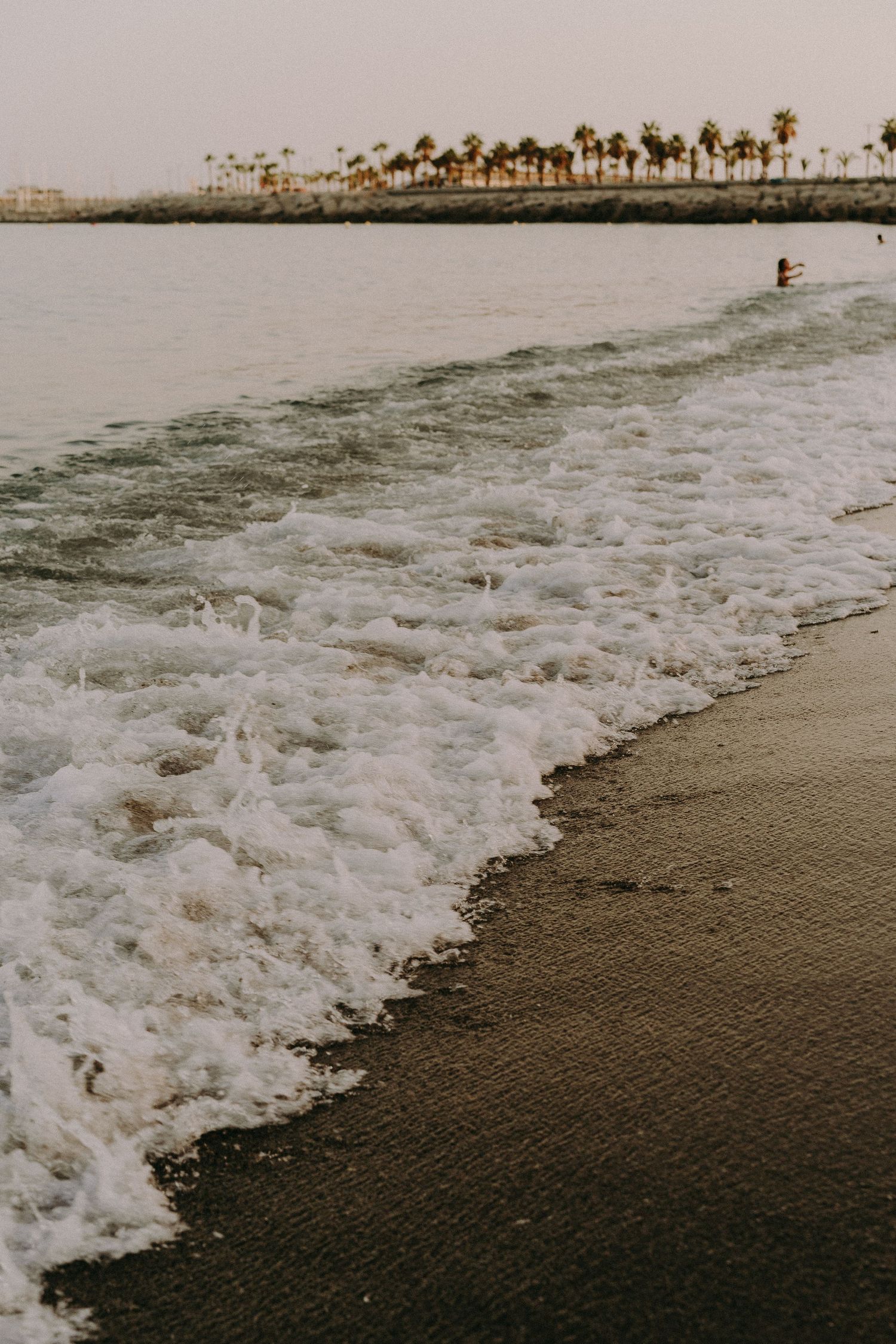 Ocean waves rolling onto sandy beach with palm trees lining the distant shore.