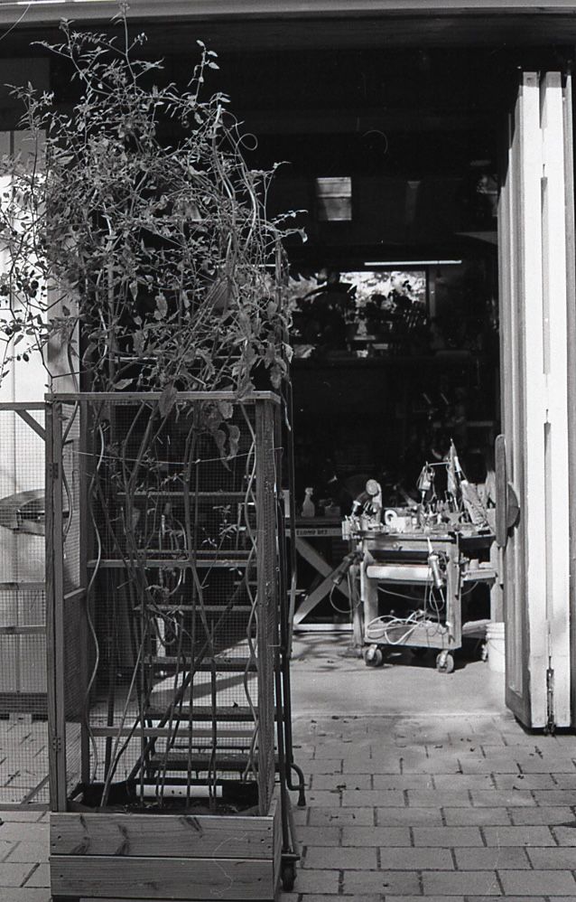 Black and white photo of a metal plant stand with vines outside an open workshop door.