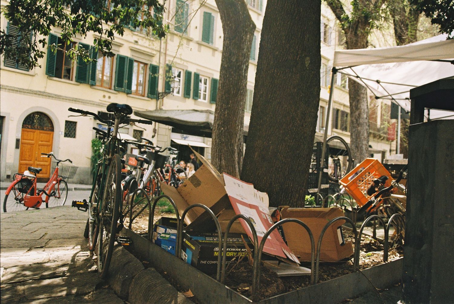 Bicycles and chairs clustered around a large tree trunk in a charming Italian city square.