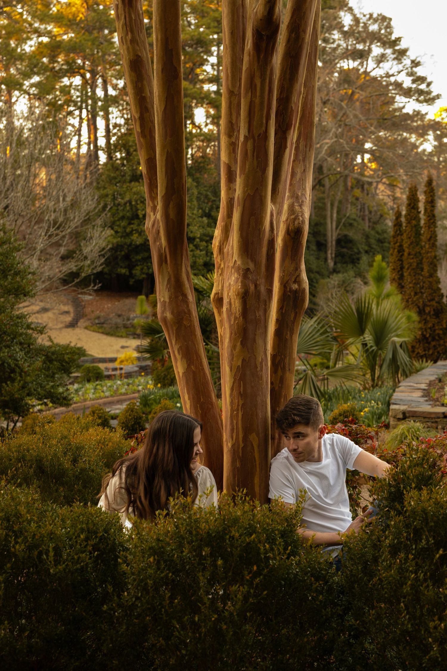Young couple sits together beneath a tall multi-trunk tree in a beautifully landscaped garden at sunset.