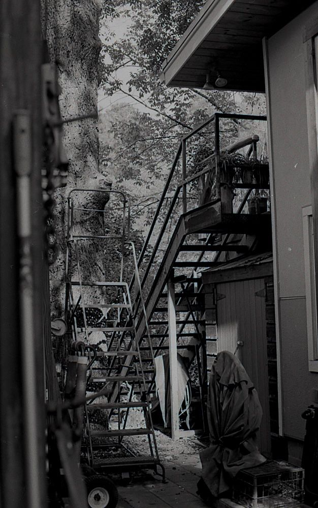 Black and white image of a cluttered backyard with metal stairs, equipment, and trees.