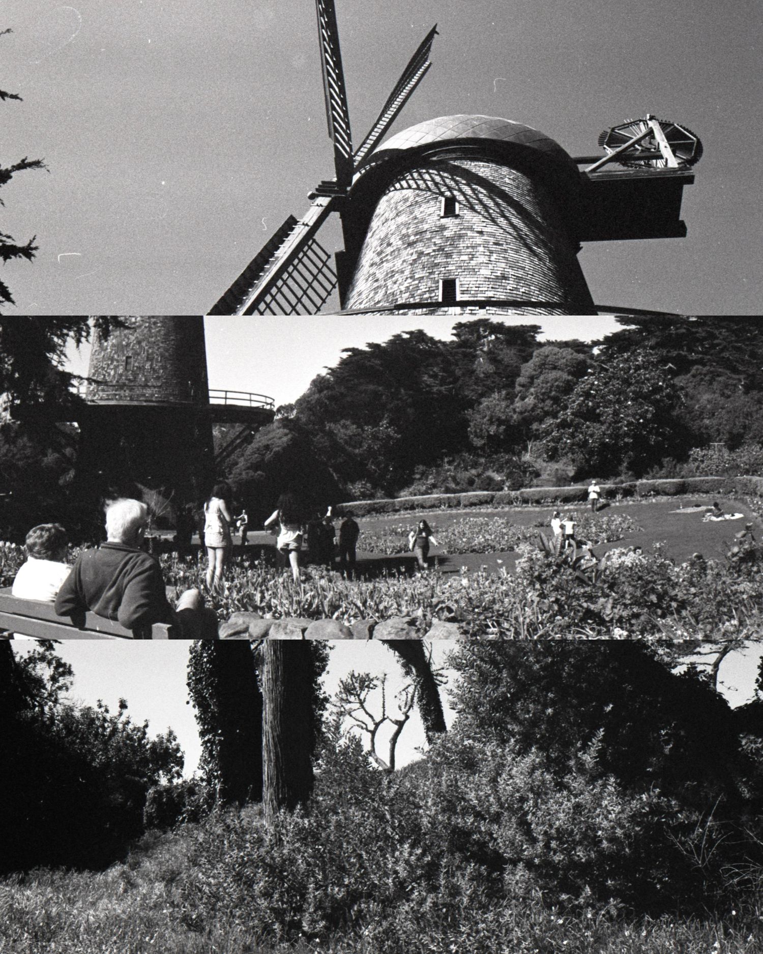 Black and white photo collage featuring historic stone windmill, garden visitors, and lush park landscape.