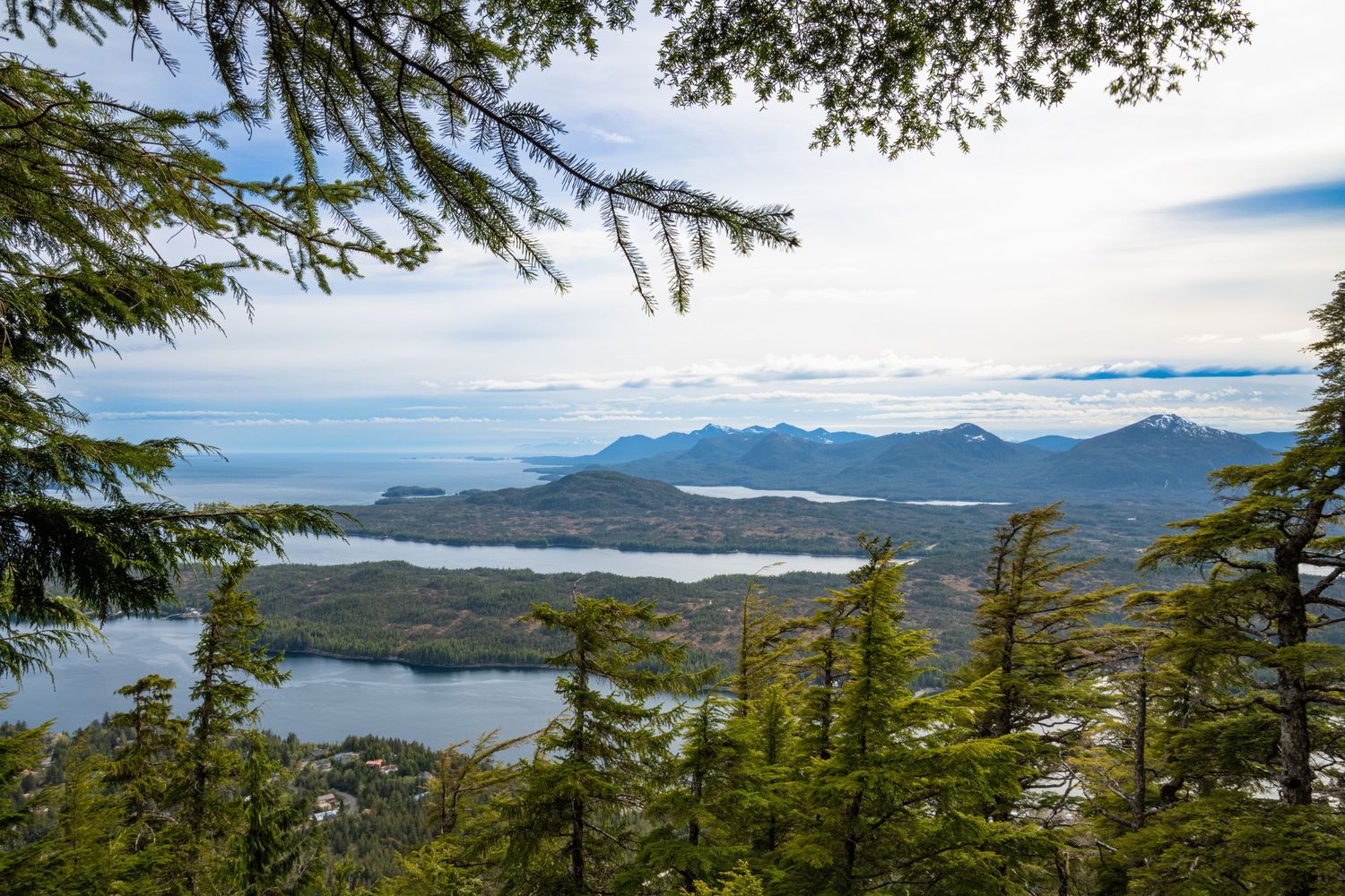 Scenic panoramic view of a mountainous coastline with evergreen trees in the foreground and blue water below.