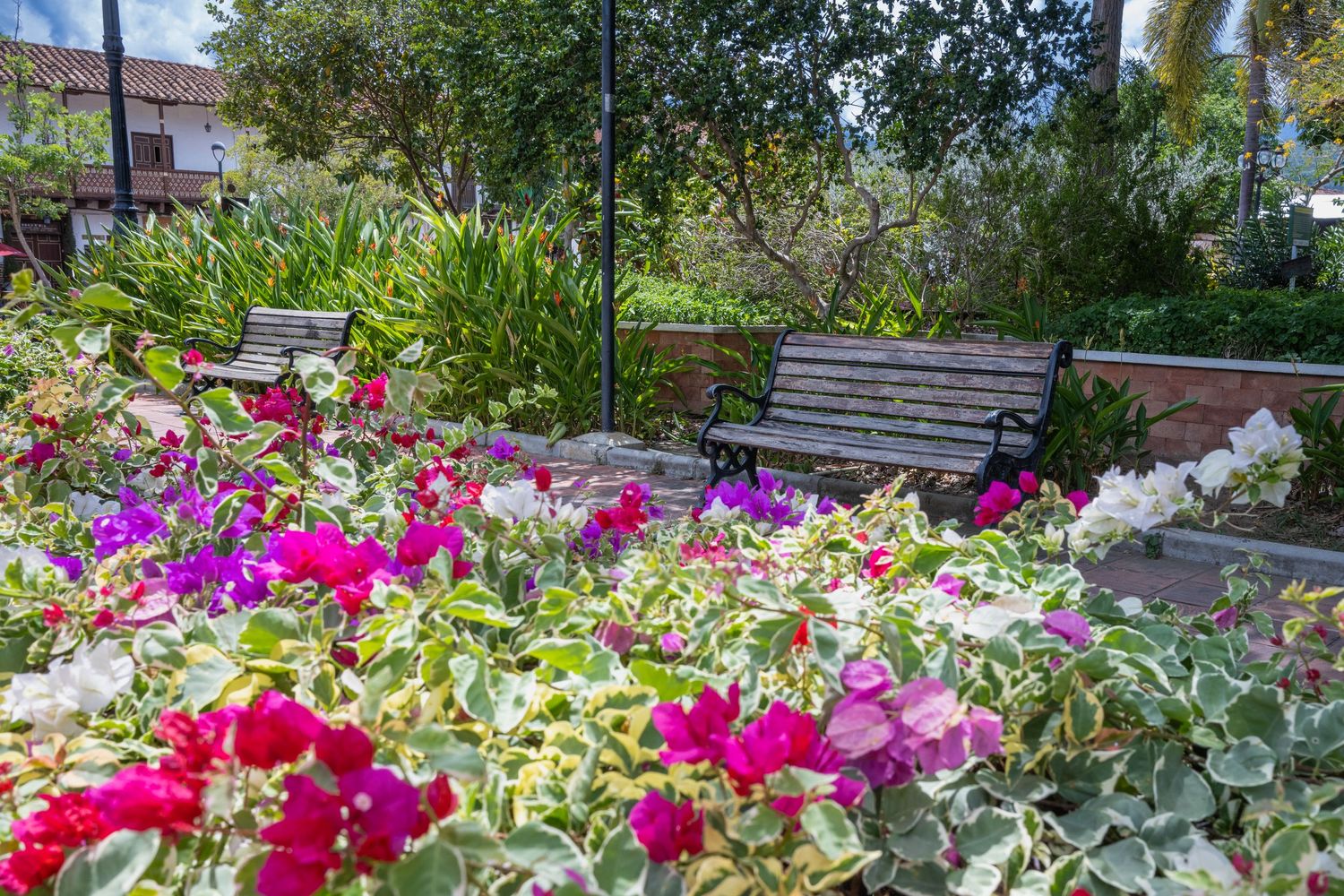 A vibrant garden path lined with blooming pink and white flowers leads through lush greenery on a sunny day.