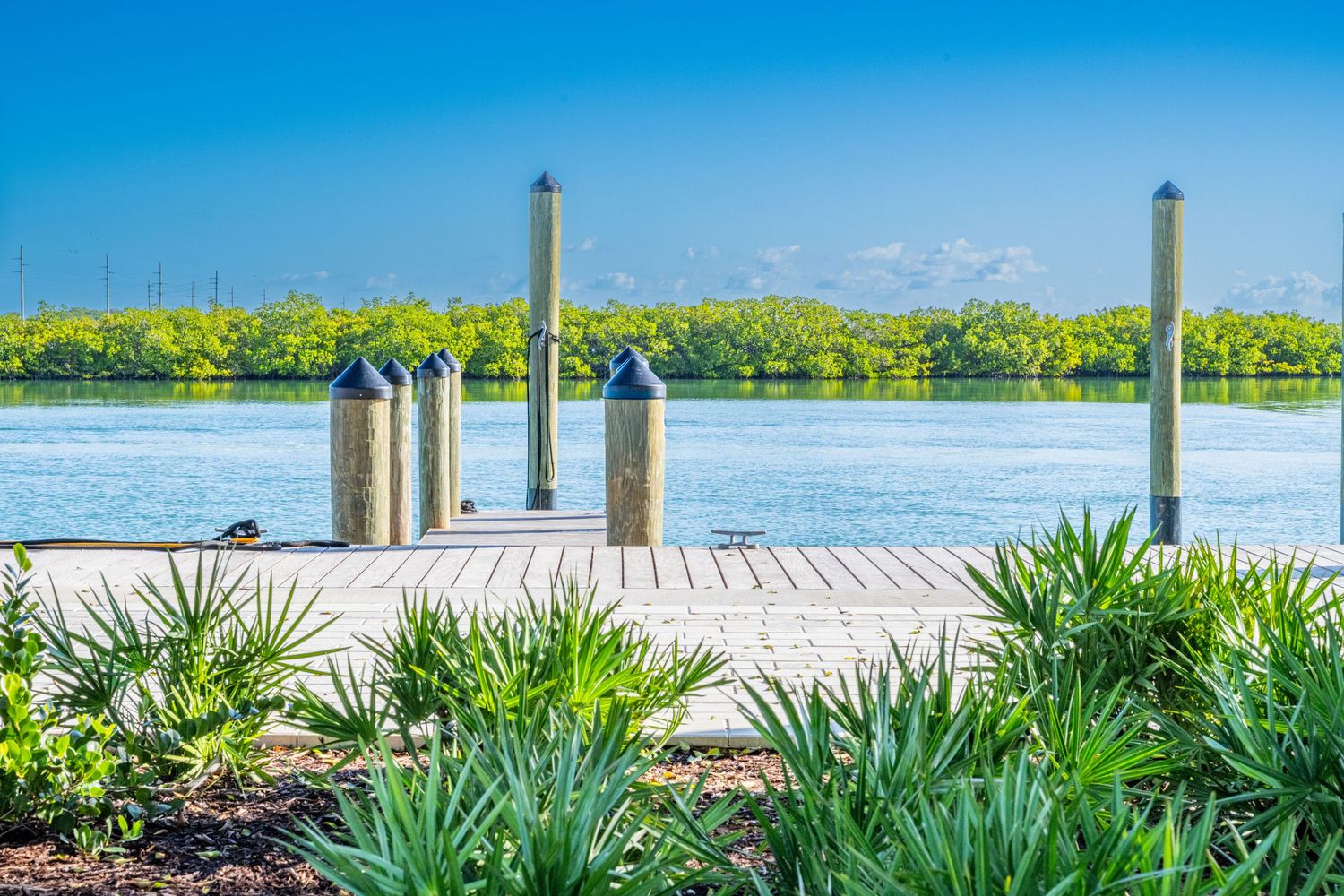Panoramic collage of a wooden dock stretching over blue water with tropical plants and palm fronds in the foreground.