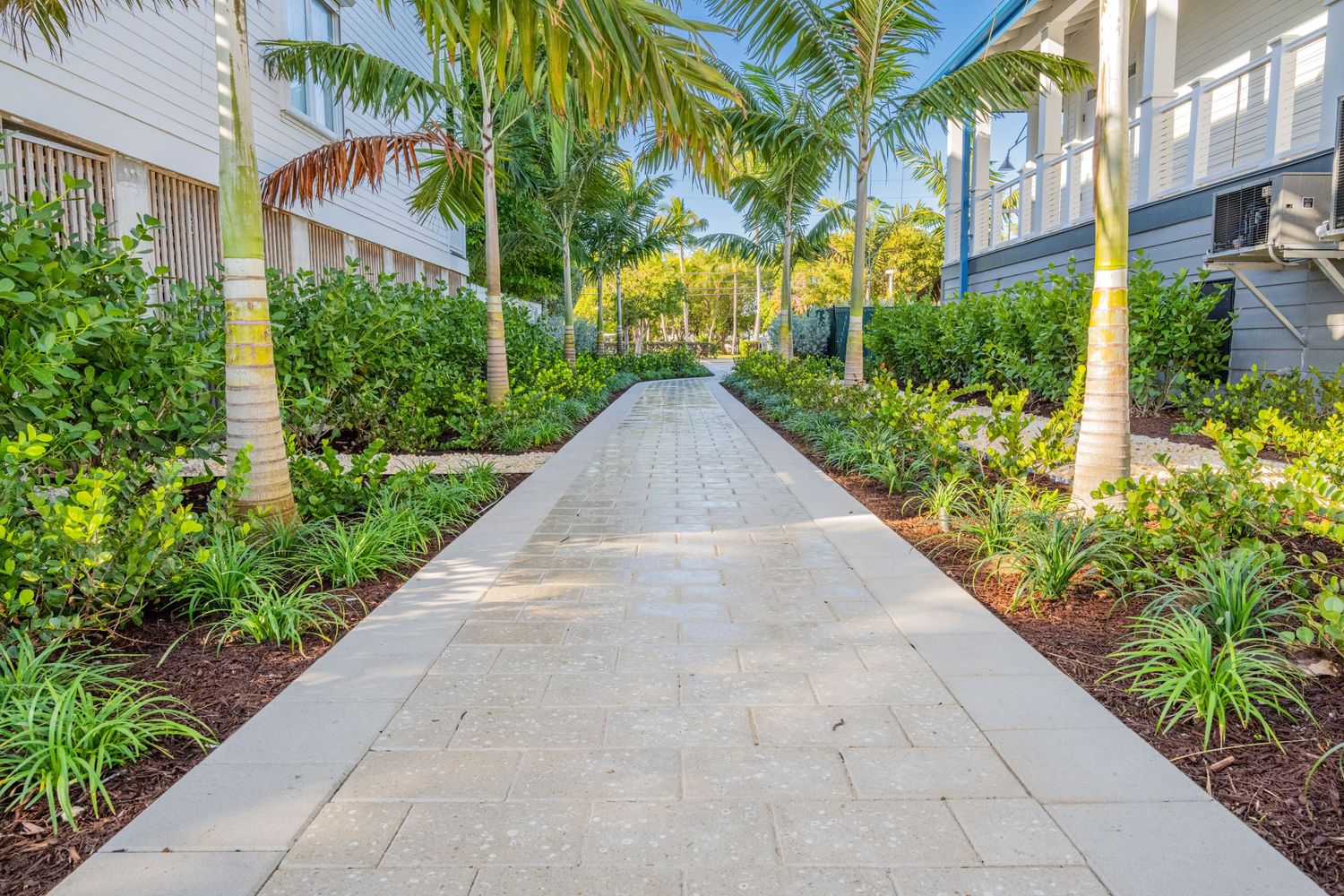 A winding concrete pathway lined with tropical palm trees and lush landscaping leads through a garden setting.