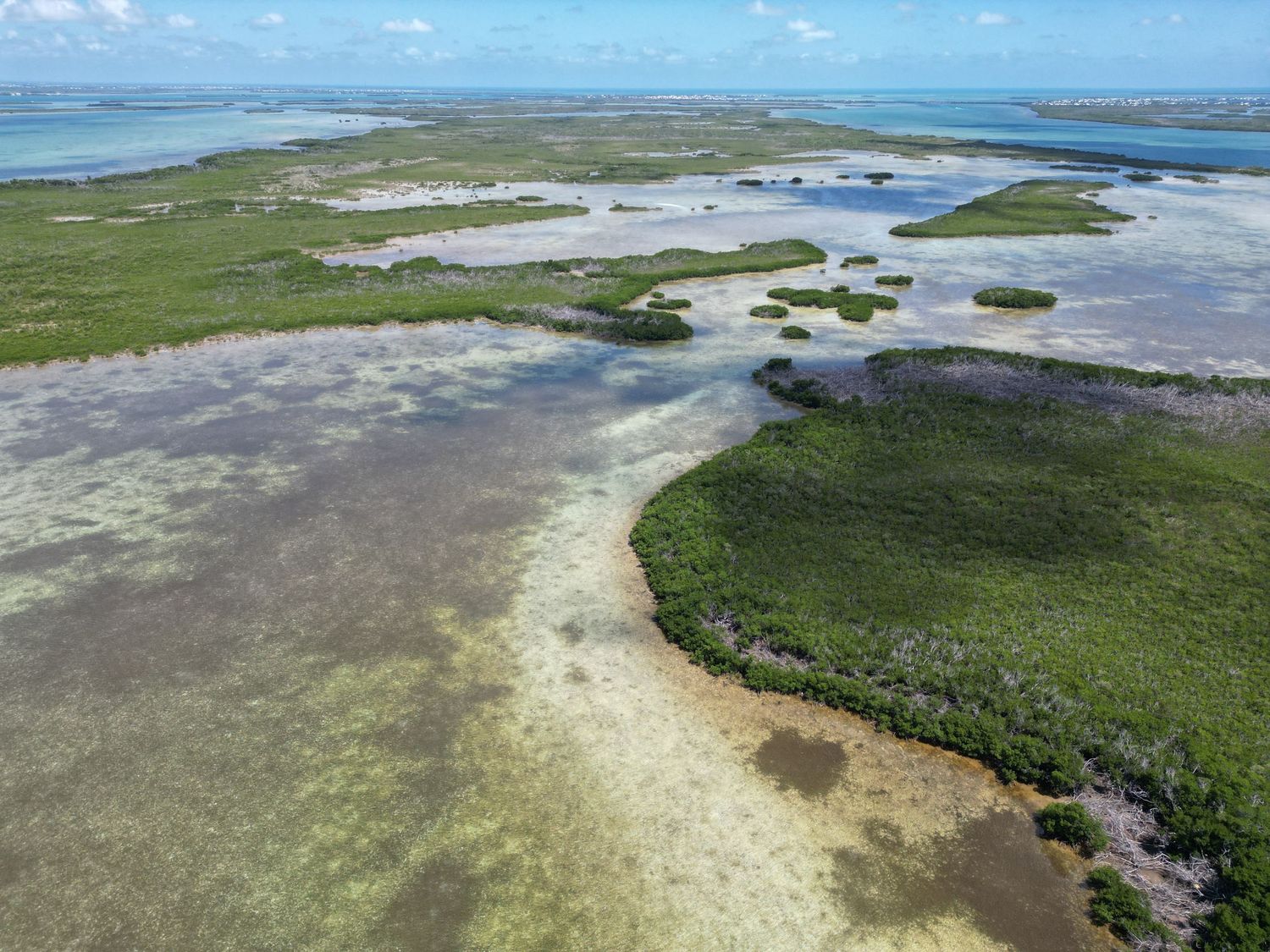 Aerial view of coastal wetlands with shallow waters and green vegetation patches along a tropical shoreline.
