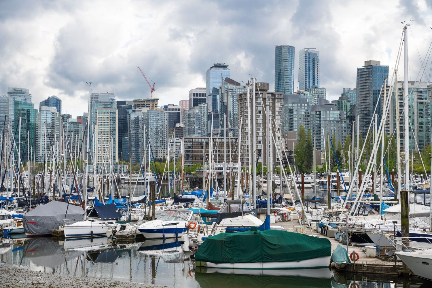 Panoramic view of Vancouver's marina with sailboats docked against the backdrop of modern city skyscrapers.
