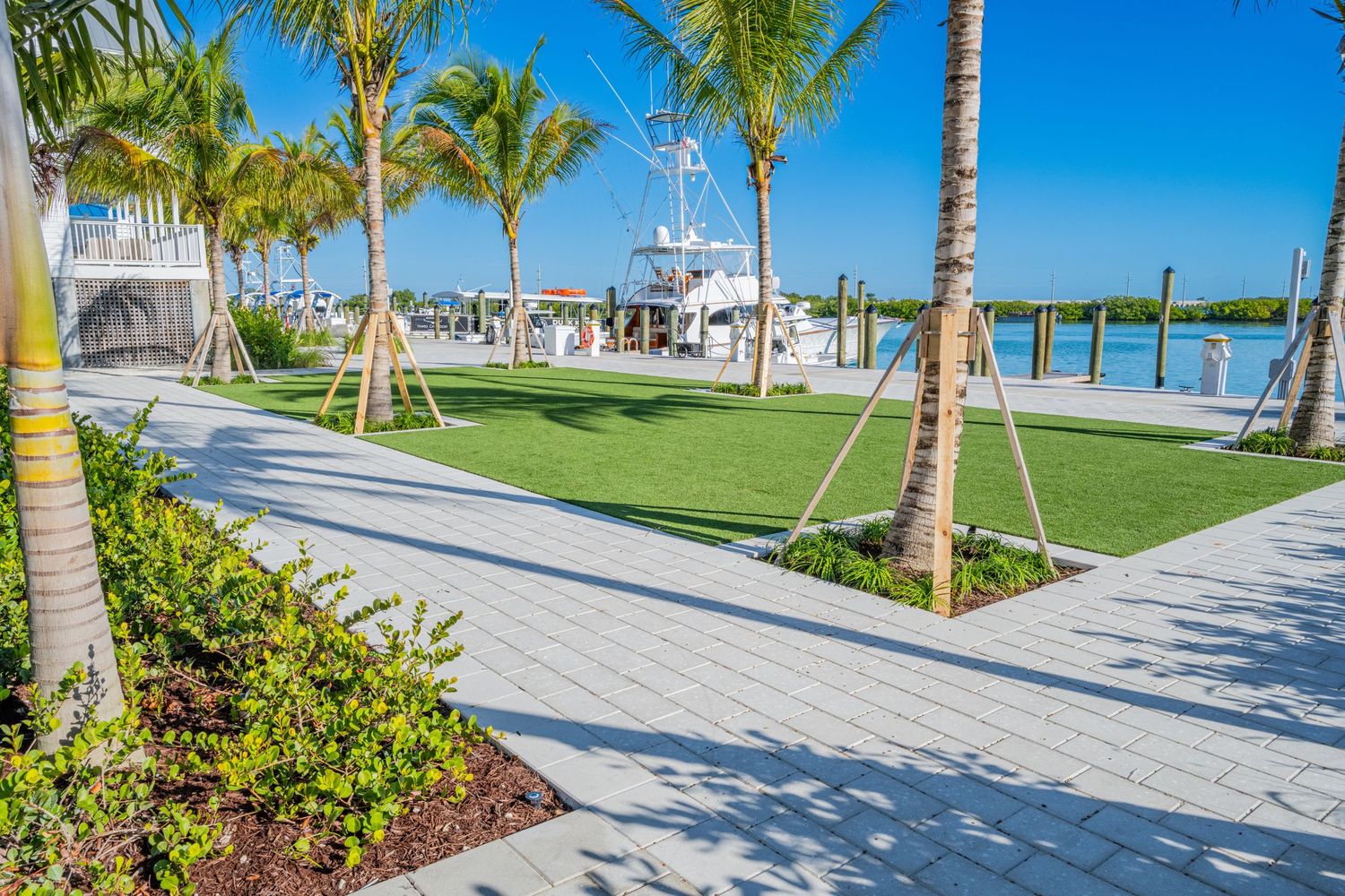 Palm trees line a paved walkway along a waterfront promenade on a sunny tropical day.
