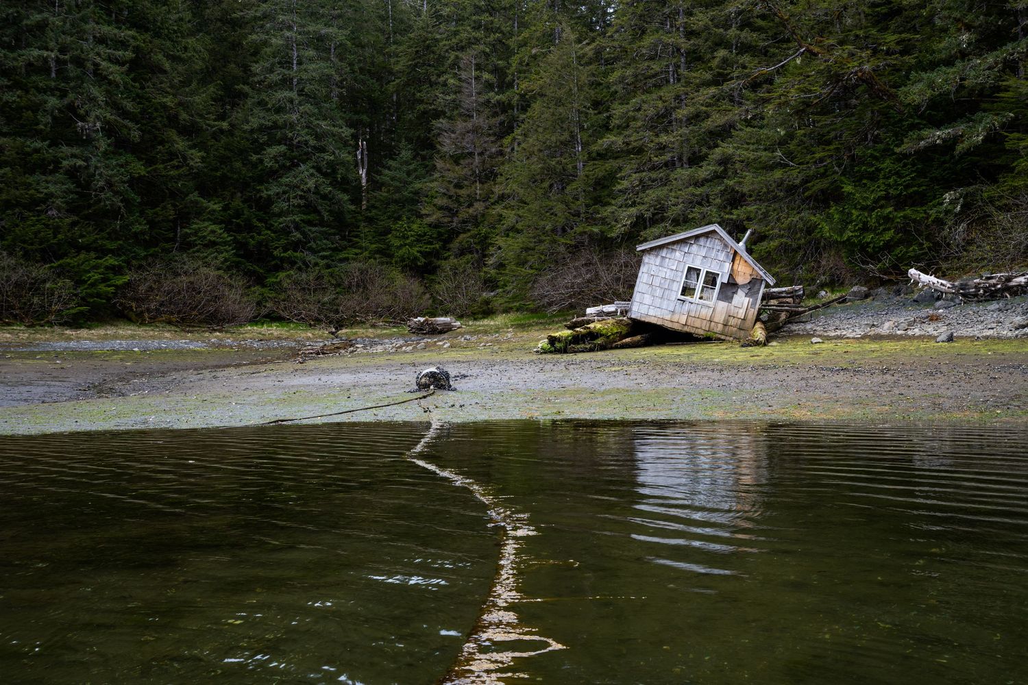 A series of lakeside images showing docks, boats, and waterfront cabins nestled among evergreen trees.