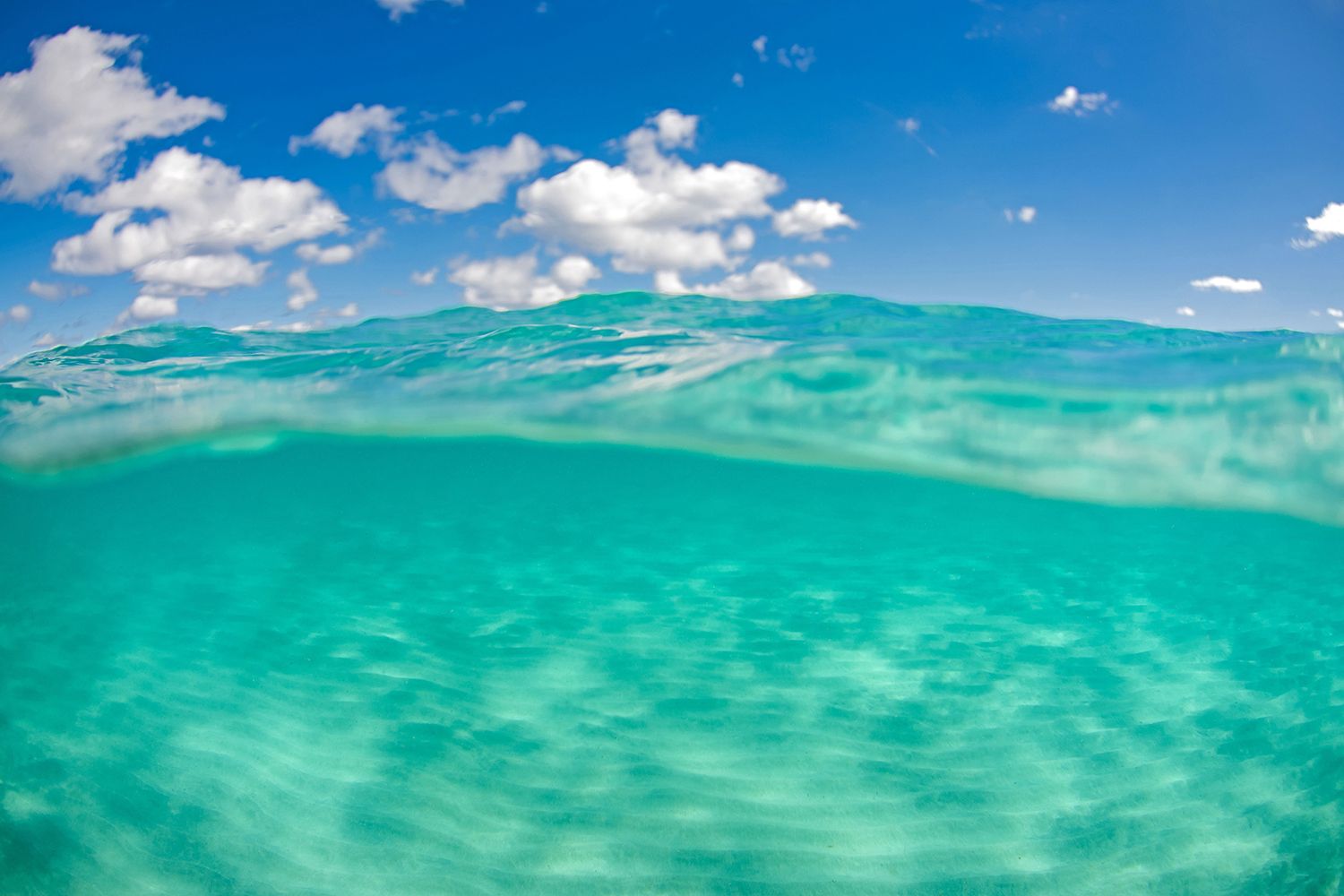 Split view of ocean surface showing turquoise waters meeting blue sky with white clouds.