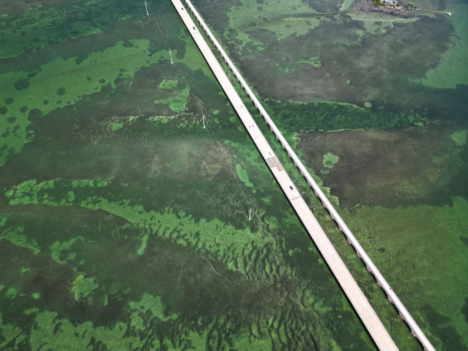 Aerial view of a winding white road cutting through lush green farmland and rolling hills in rural countryside.