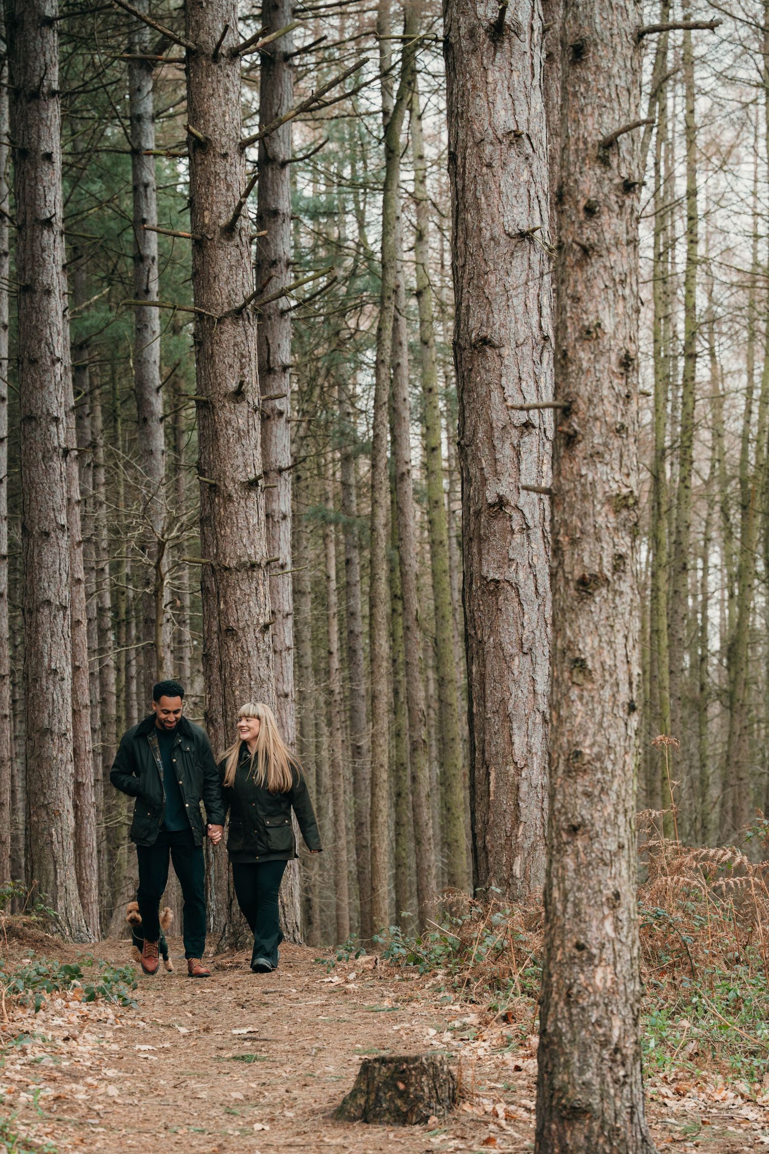 Couple walking hand in hand through tall pine forest on an autumn day.