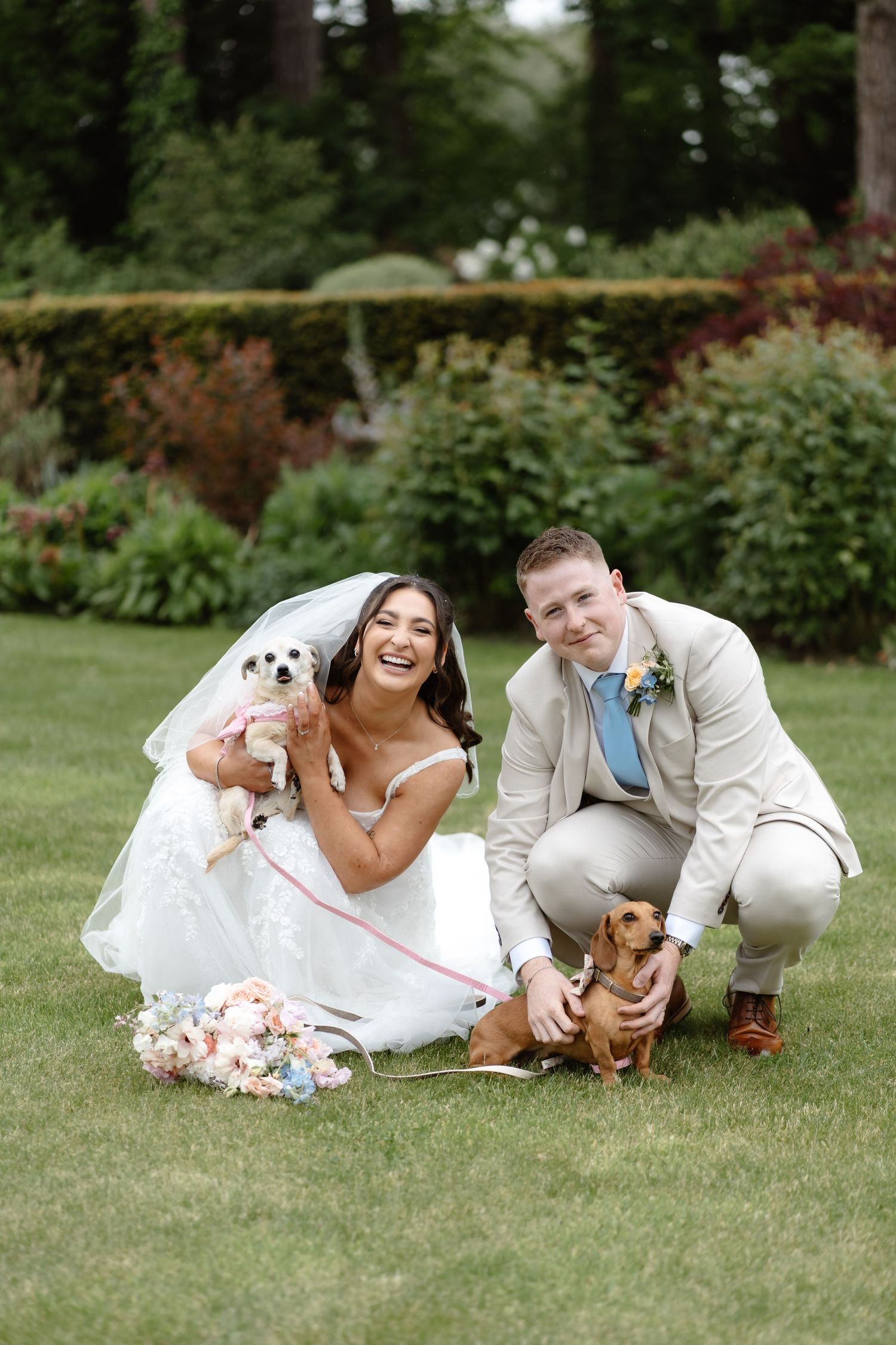 Bride and groom pose with two small dogs on green lawn, bride holds white dog while groom pets a dachshund.