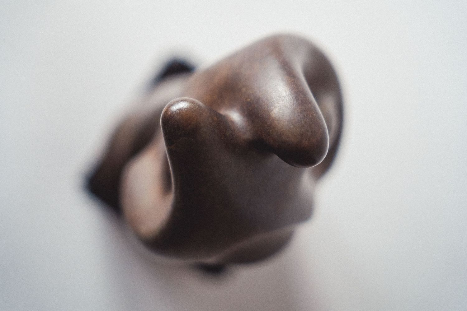 Close-up of a smooth dark bronze abstract sculpture with organic curved forms on a white background.