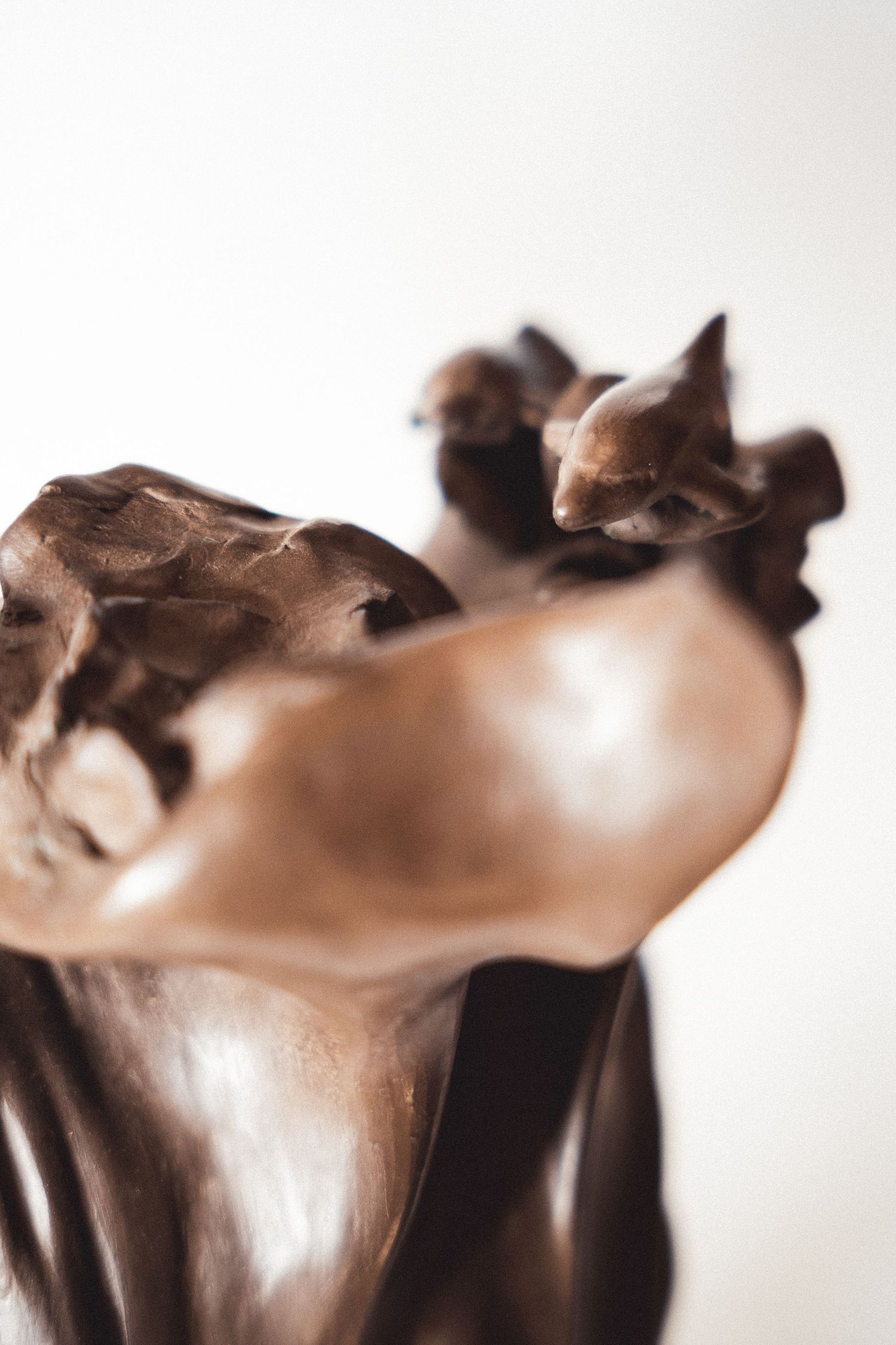 Close-up of a polished dark bronze sculpture with smooth curved organic forms and abstract figurative details.