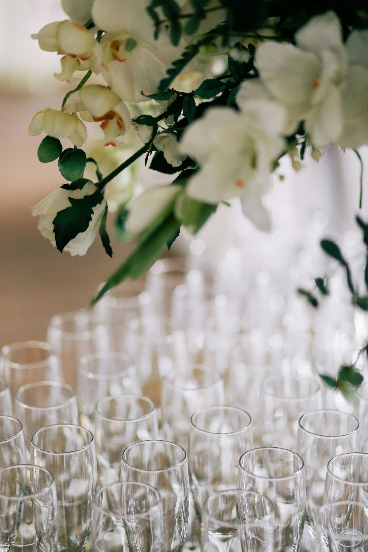 Rows of empty crystal champagne flutes arranged under white orchid floral arrangement at wedding reception.