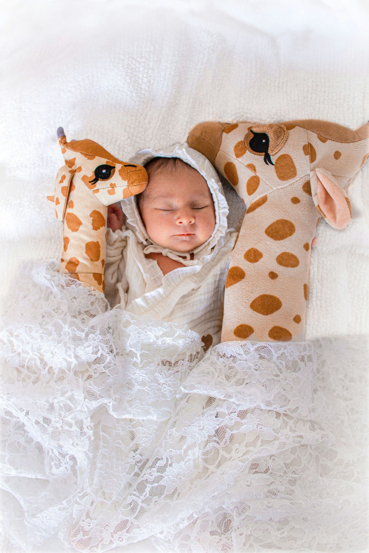 Sleeping newborn baby swaddled in white lace surrounded by giraffe stuffed animals.