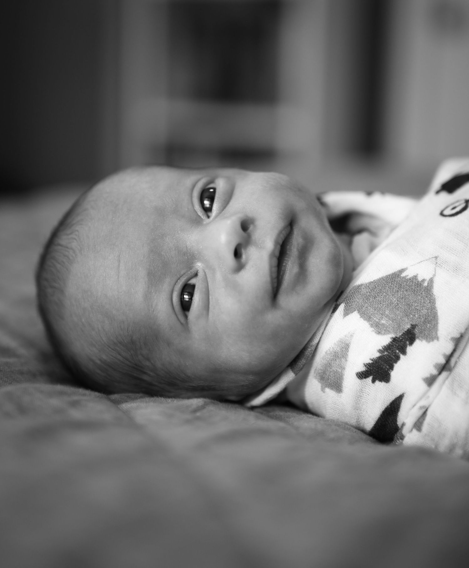 Alert newborn baby in patterned onesie lying on bed, black and white close-up portrait.