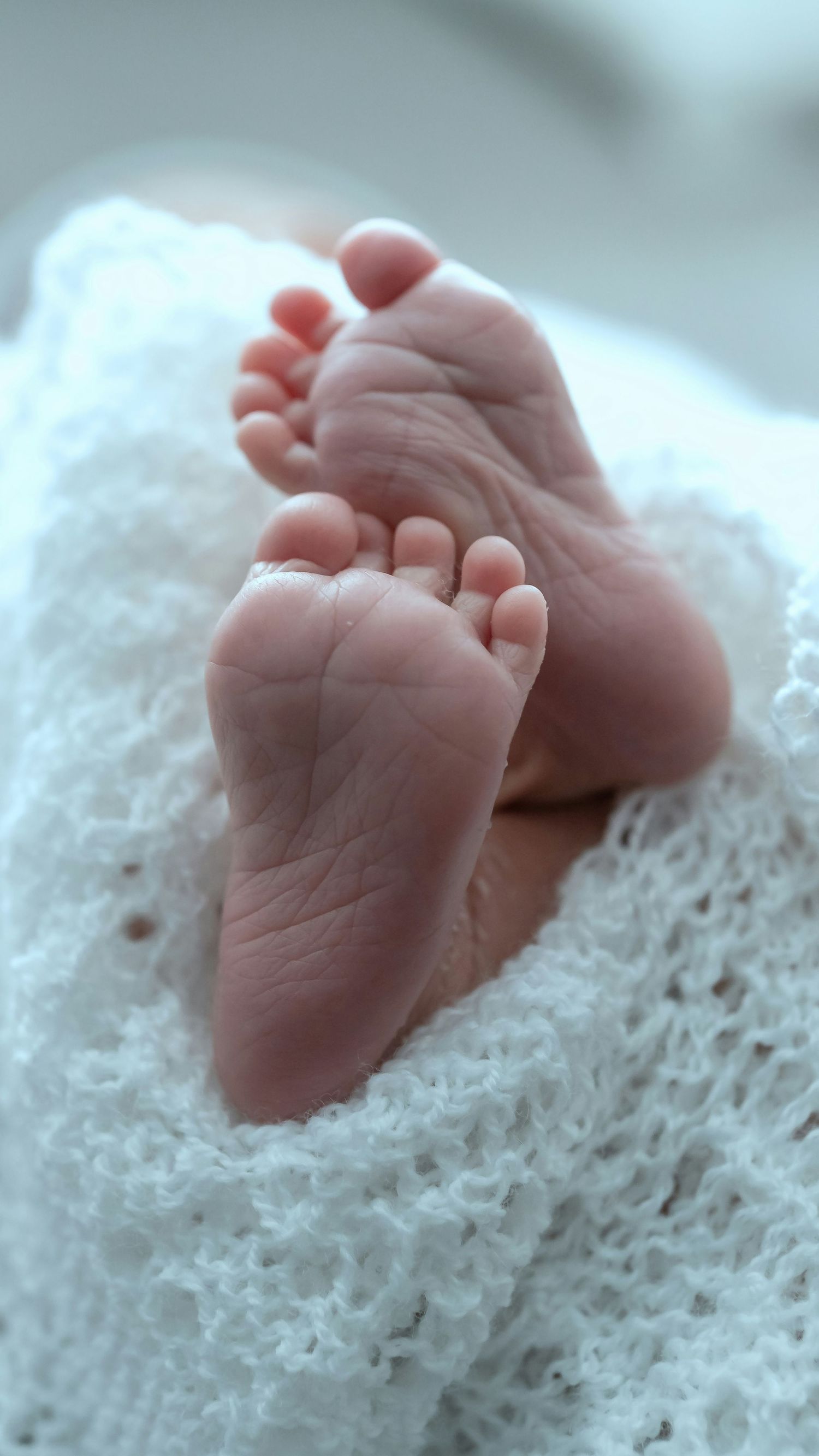 Two tiny newborn baby feet peeking out from a soft white knit blanket.