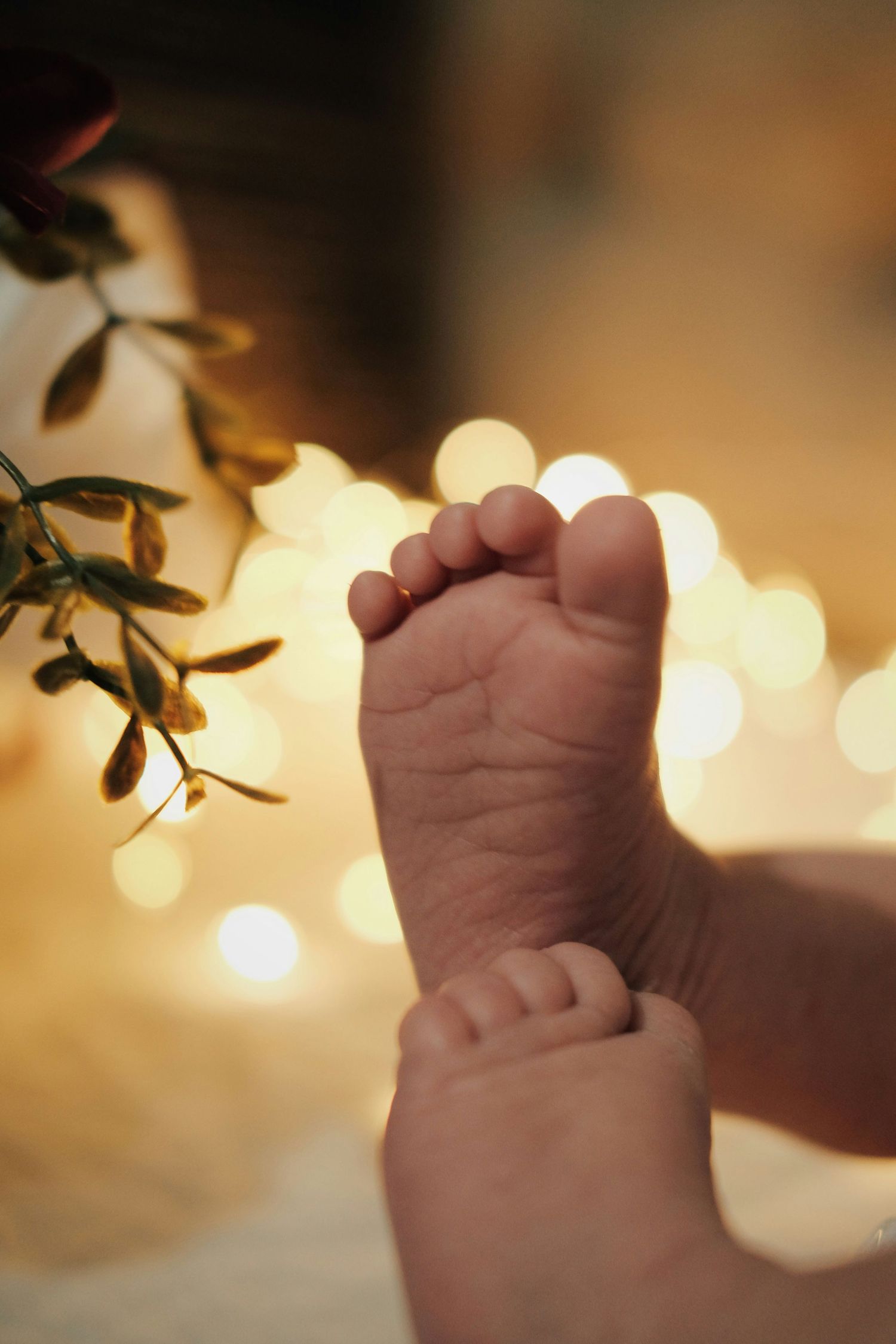 Closeup of a newborn baby foot held by adult hands with warm bokeh lights in background.