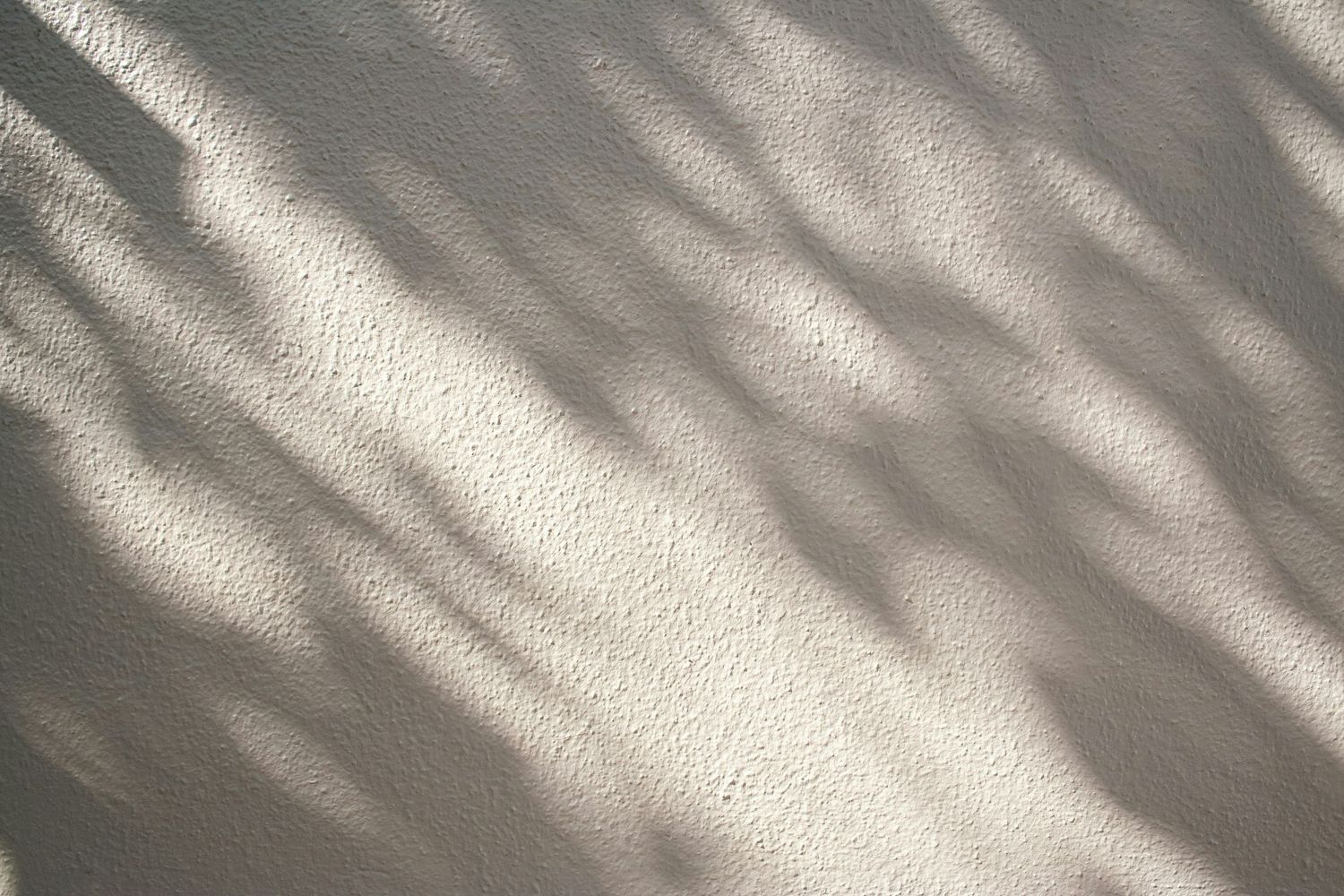 Soft diagonal shadows of tree branches cast on a textured white stucco wall in natural light.