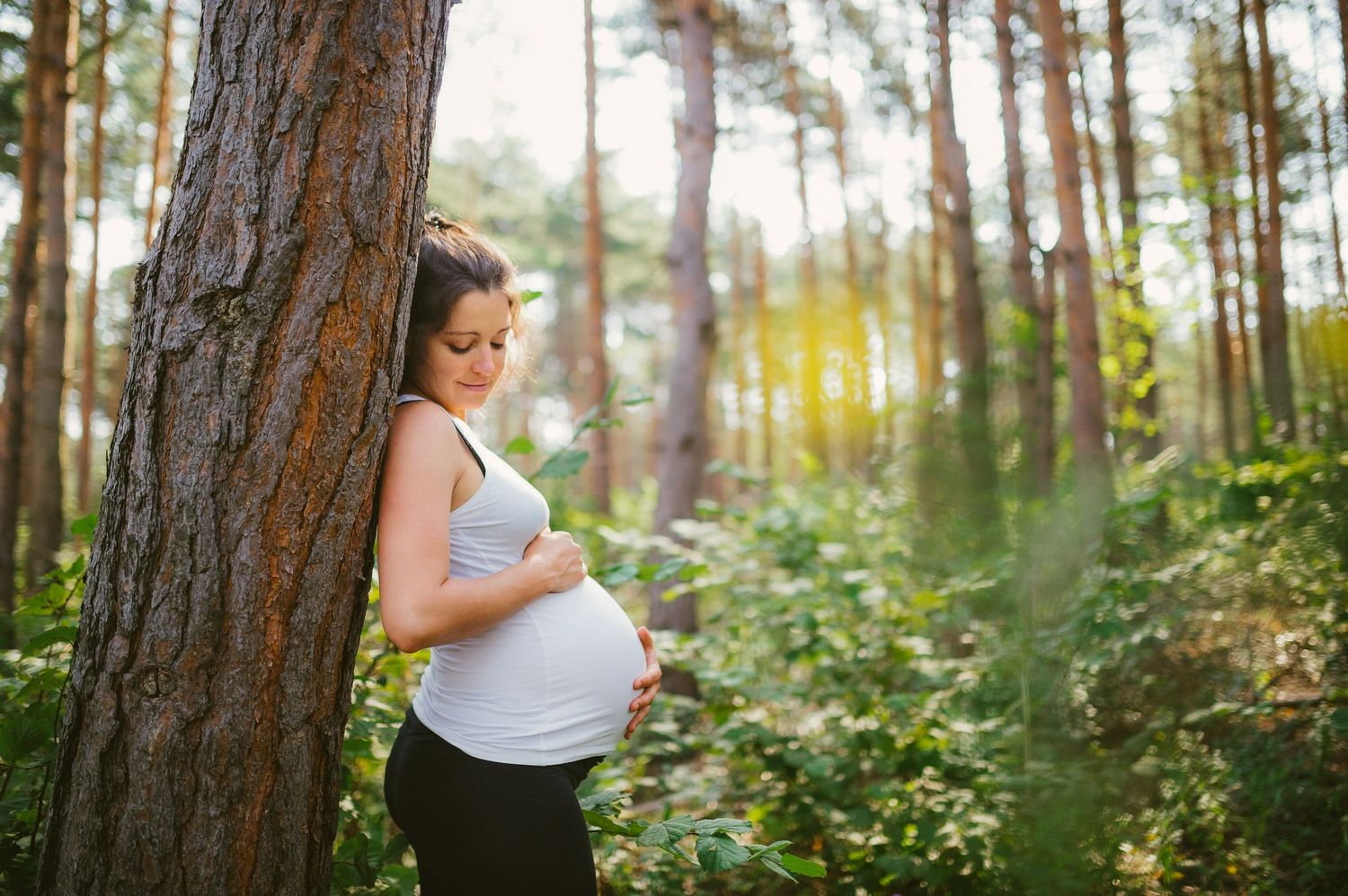 outdoor pine forest maternity session and pregnancy timing guide in Ottawa - R&B AuraCapture