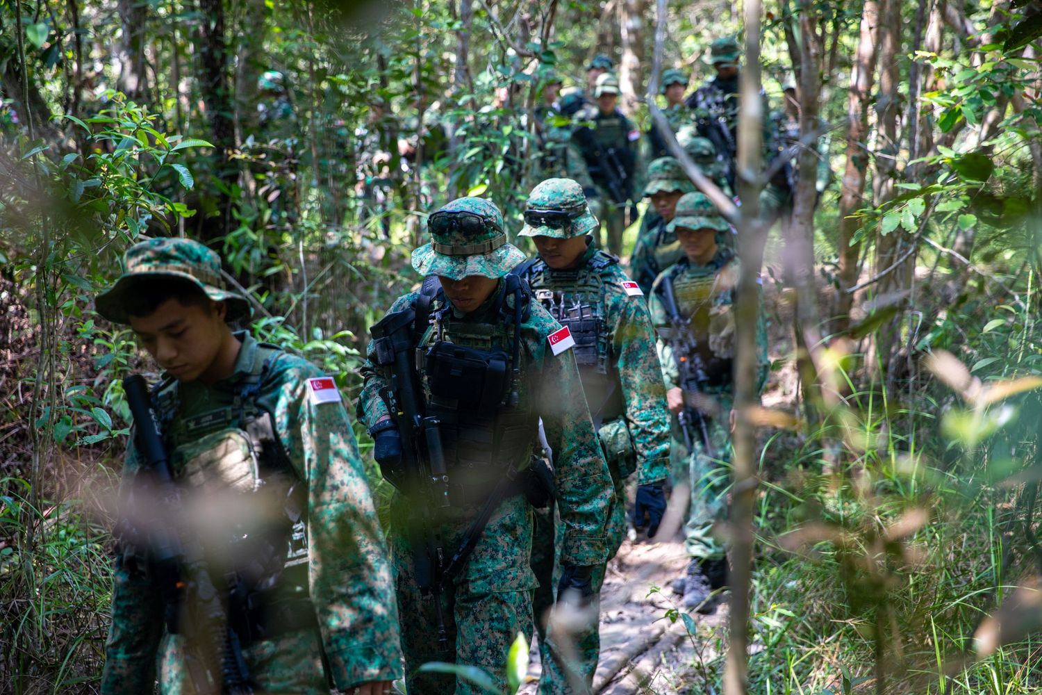 Military soldiers in green camouflage uniforms navigate through dense tropical jungle forest during training.