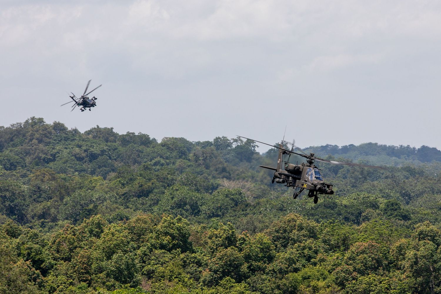 Two Apache military attack helicopters flying over tropical jungle canopy during training mission.