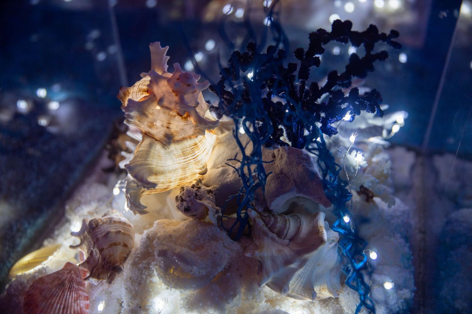 Illuminated seahorse and coral decorations with fairy lights in a blue underwater-themed display.