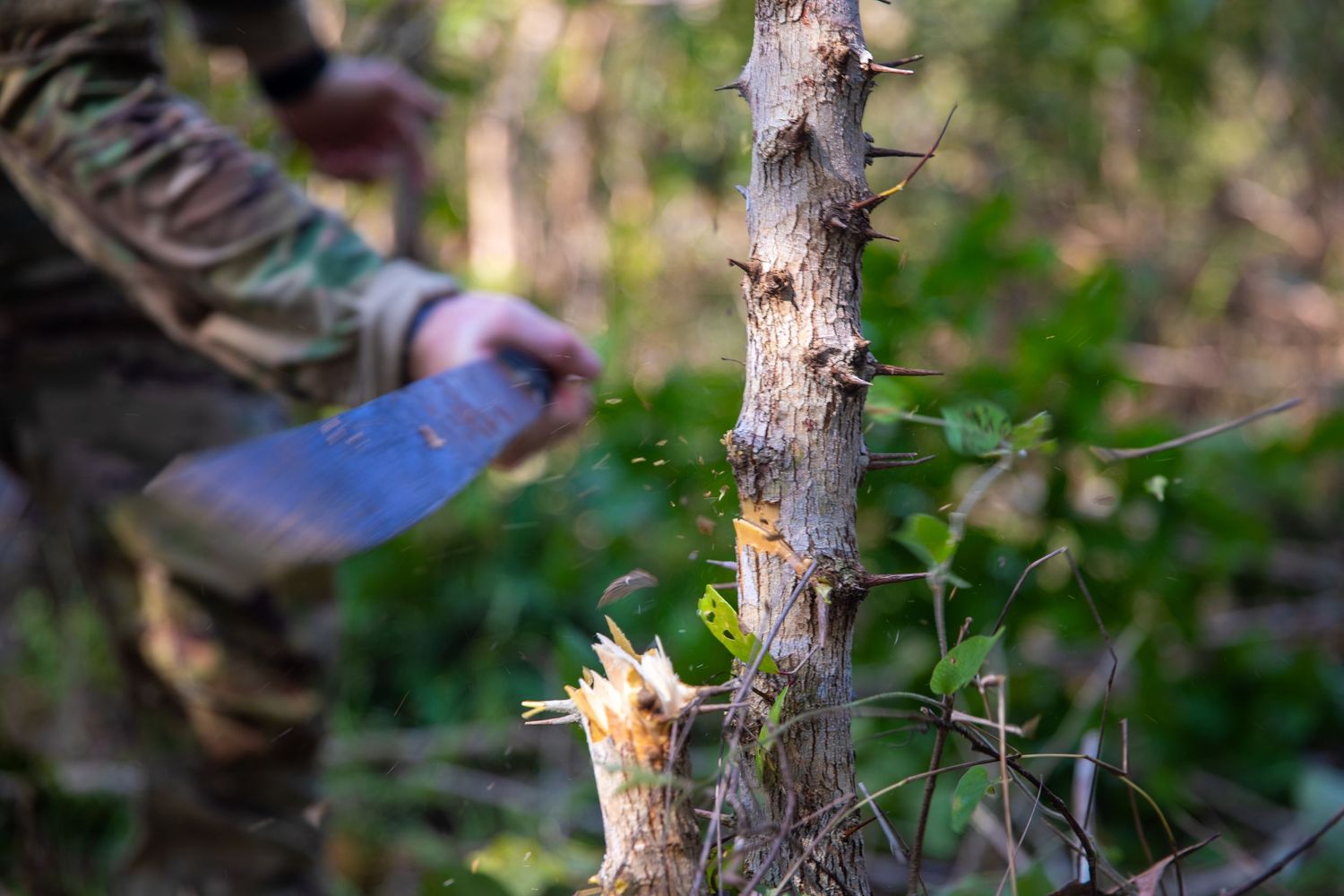 A soldier in camouflage uses a machete to cut through a thorny branch during jungle survival training.