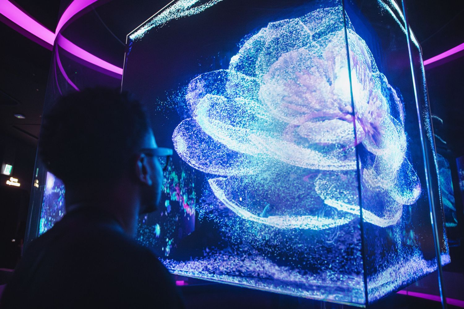 Close-up of a glowing holographic flower display with blue and purple particle effects in a dark neon-lit exhibit.