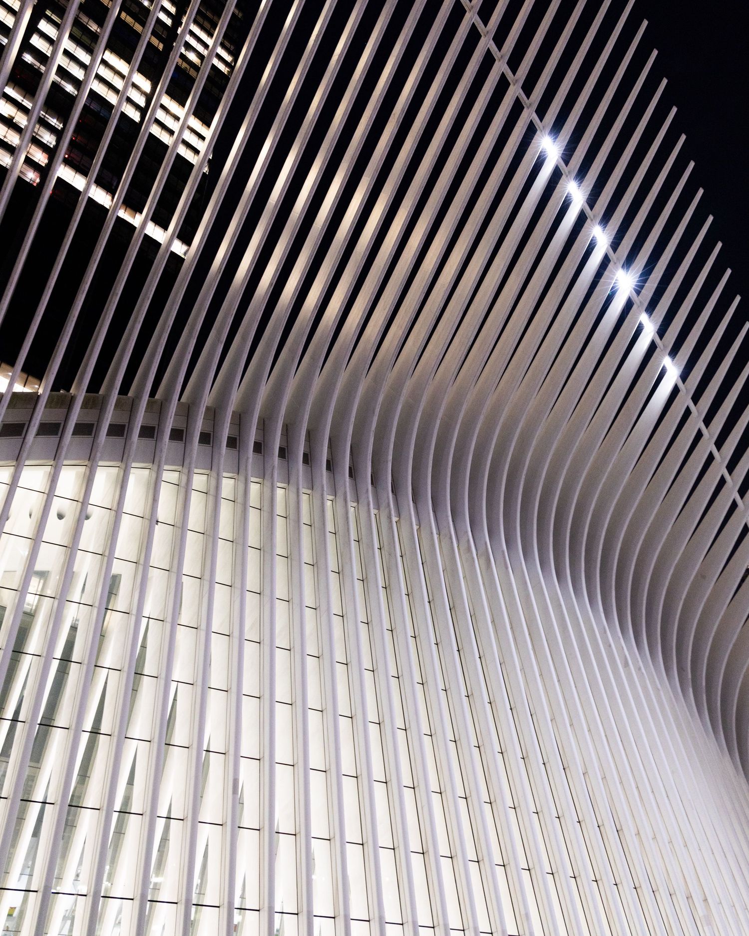 Modern architectural detail of curved white ribbed structure with dramatic lighting at the Oculus World Trade Center transportation hub.