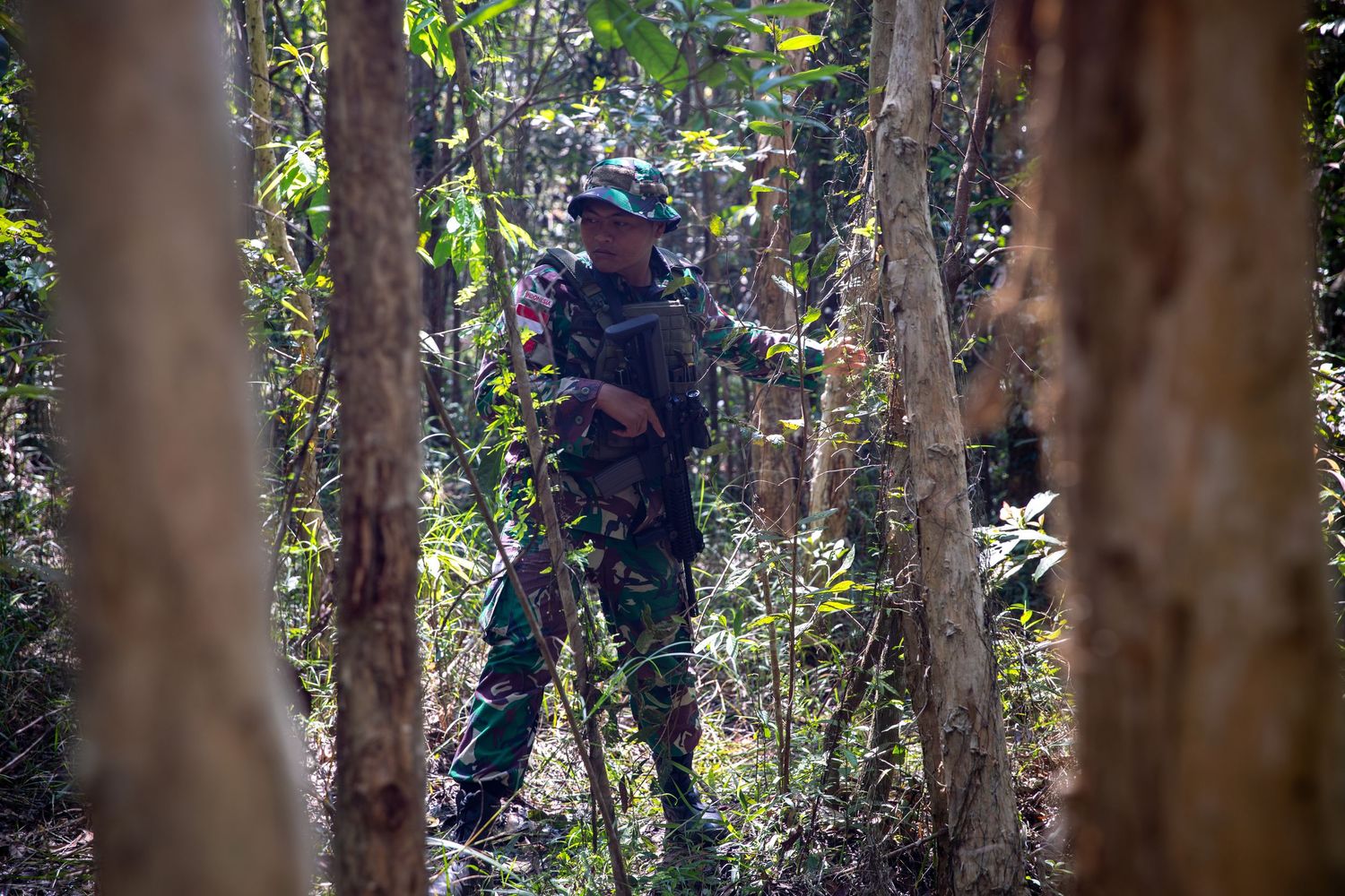 A soldier in camouflage uniform stands alert with a rifle among trees during a jungle military exercise.